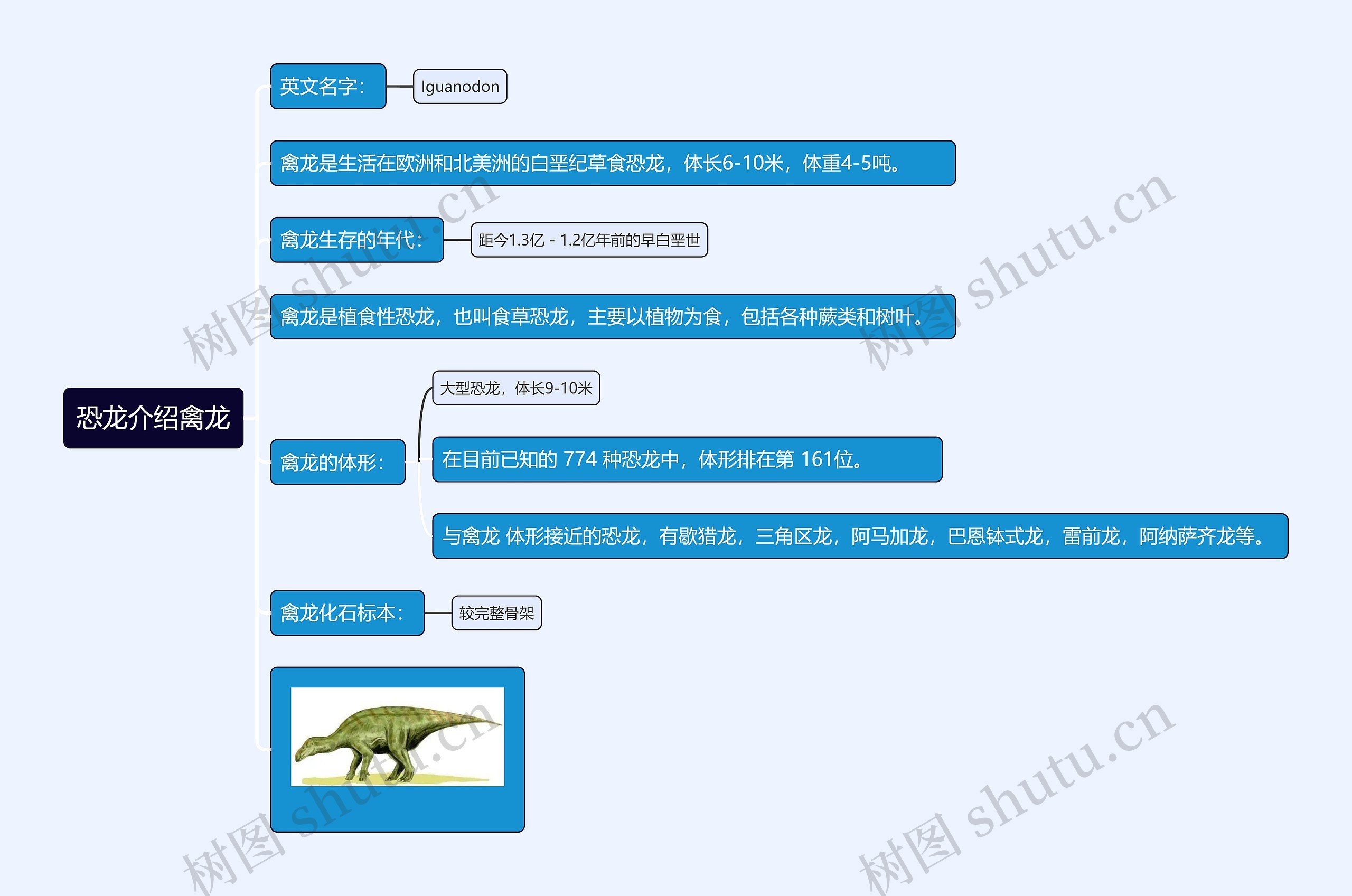 恐龙介绍禽龙思维导图