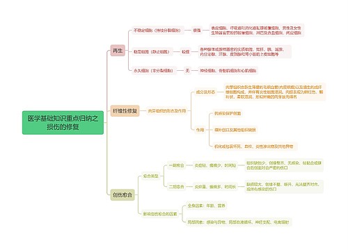 医学基础知识重点归纳之损伤的修复