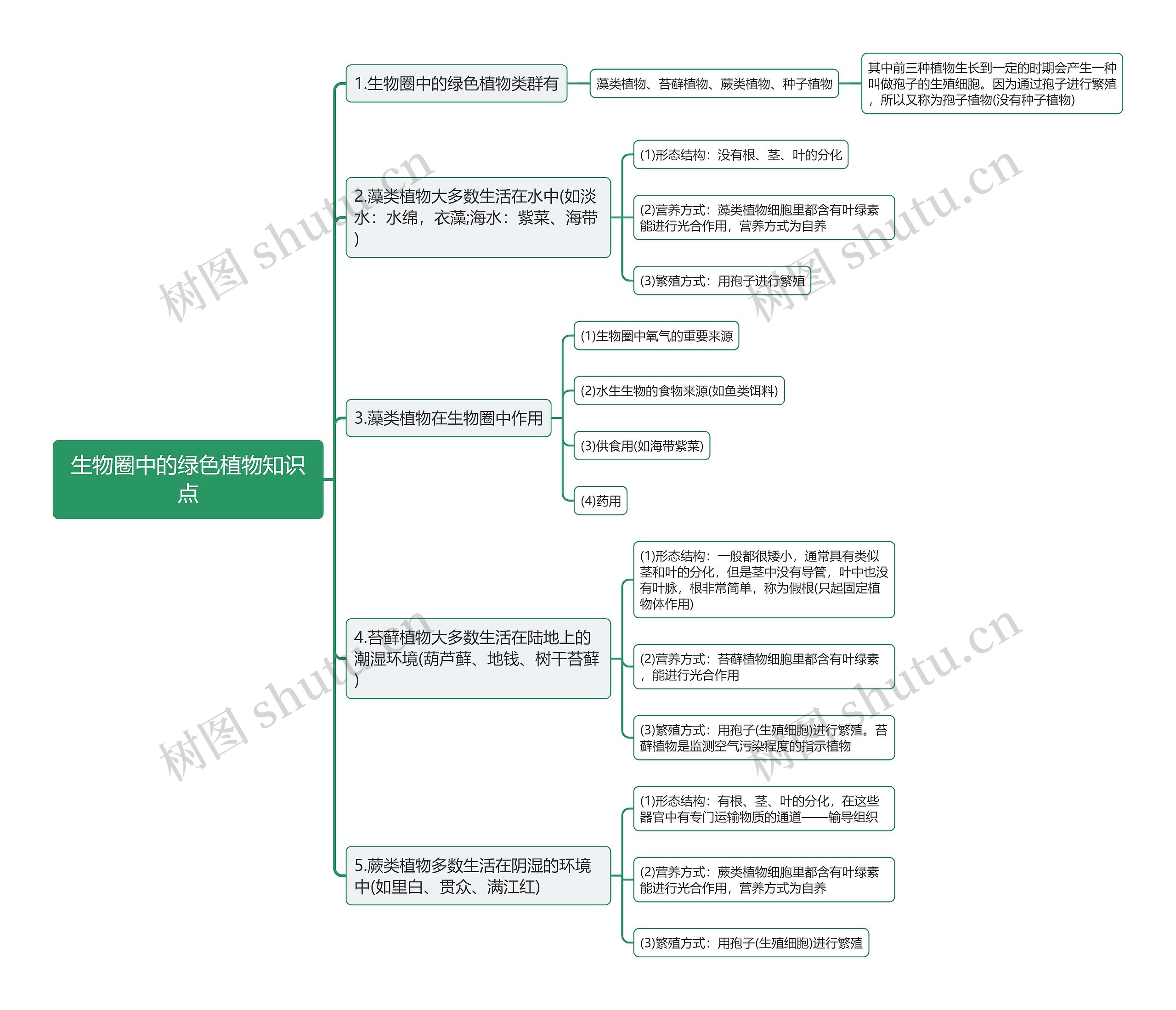 生物圈中的绿色植物知识点思维导图