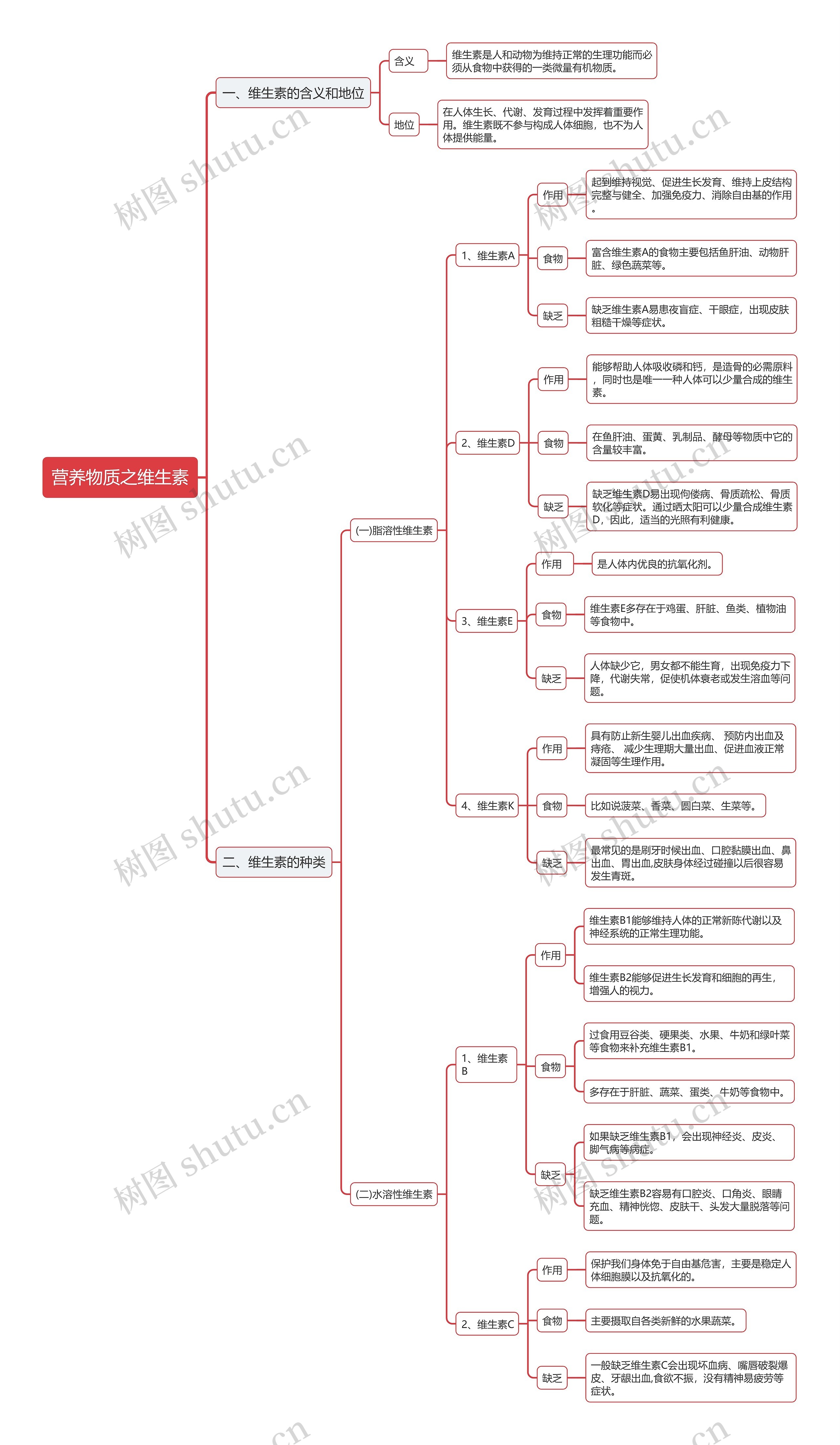 公基营养物质之维生素思维导图