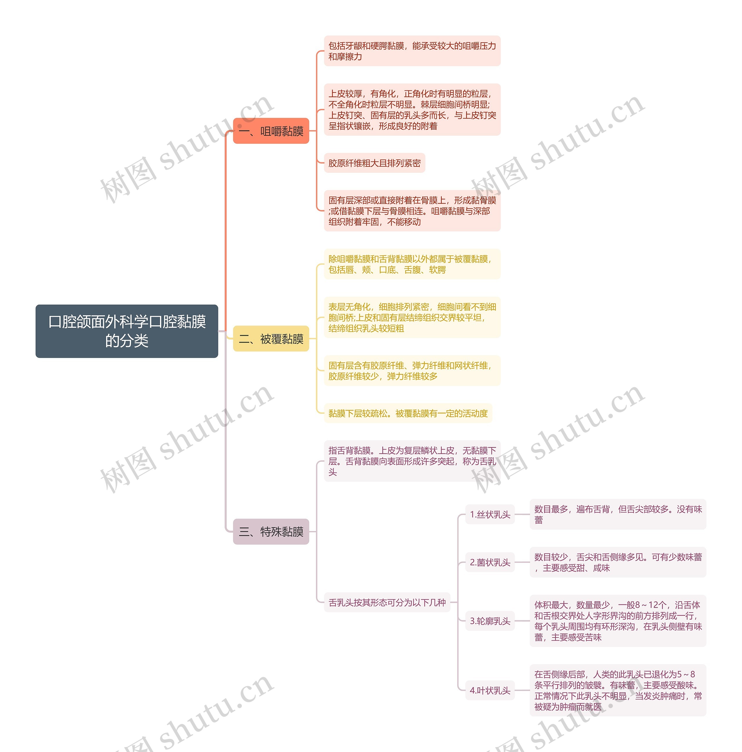 口腔颌面外科学口腔黏膜的分类思维导图