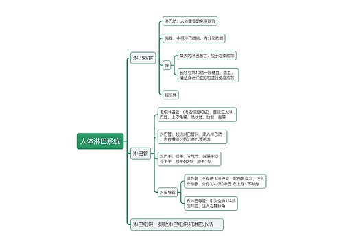 人体淋巴系统思维导图