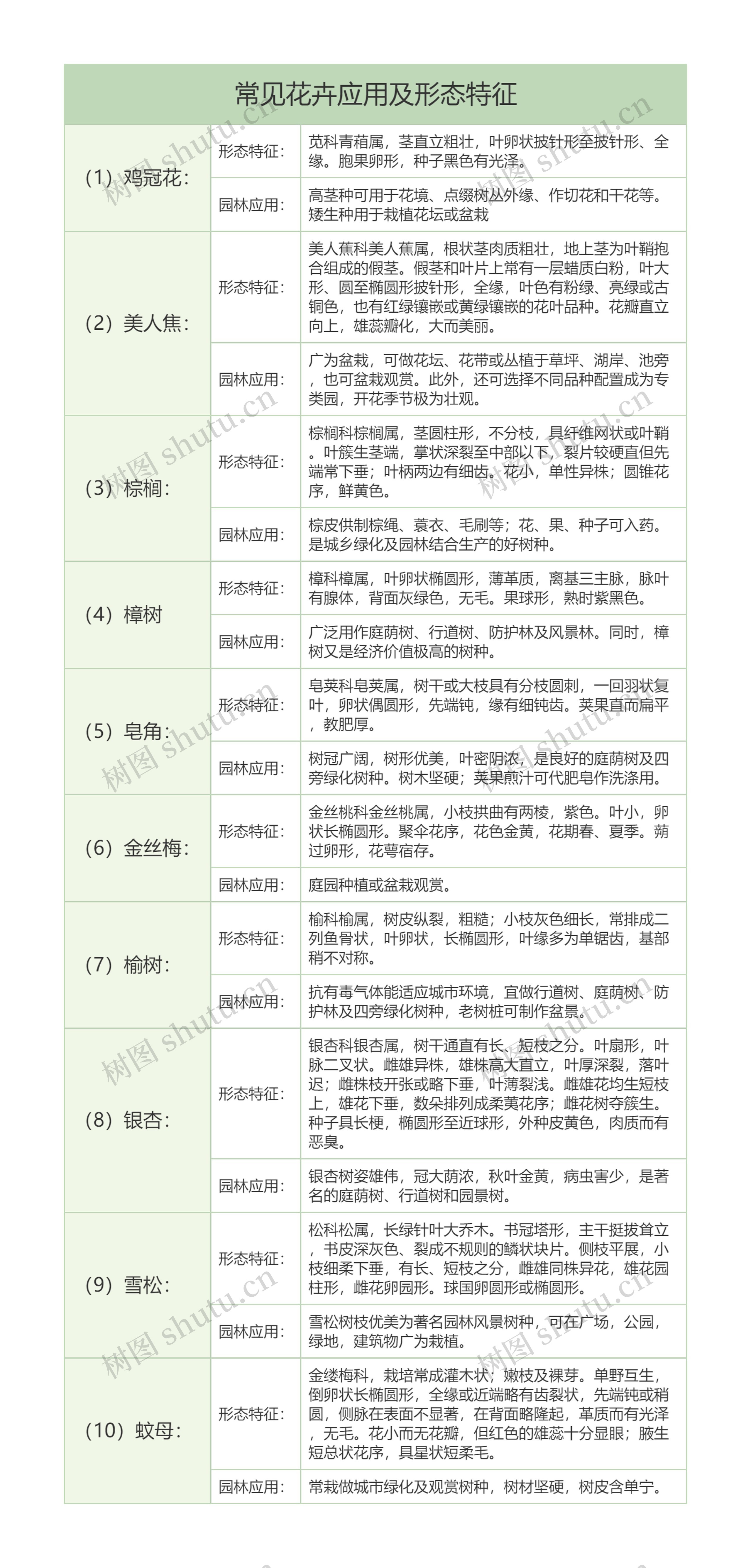 生物知识常见植物应用及形态特征树形表格