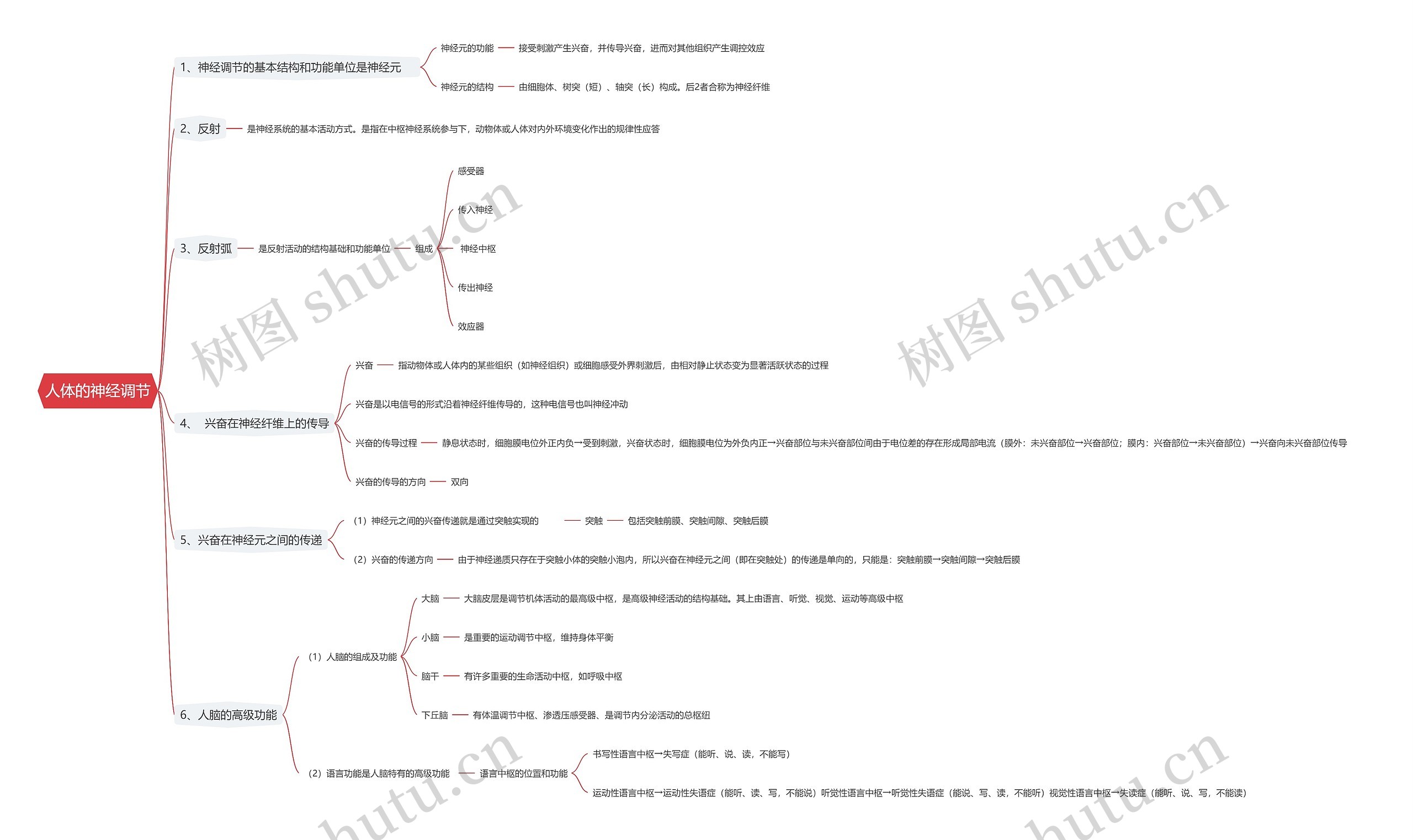 人体的神经调节思维导图
