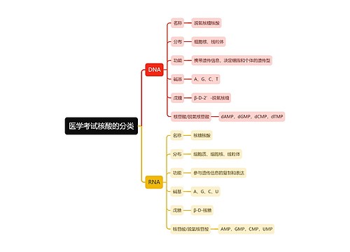 医学考试核酸的分类思维导图