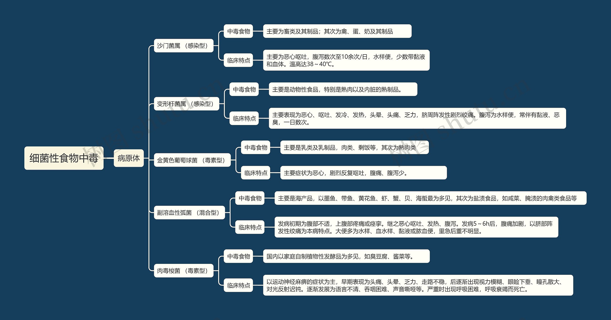 细菌性食物中毒知识点思维导图