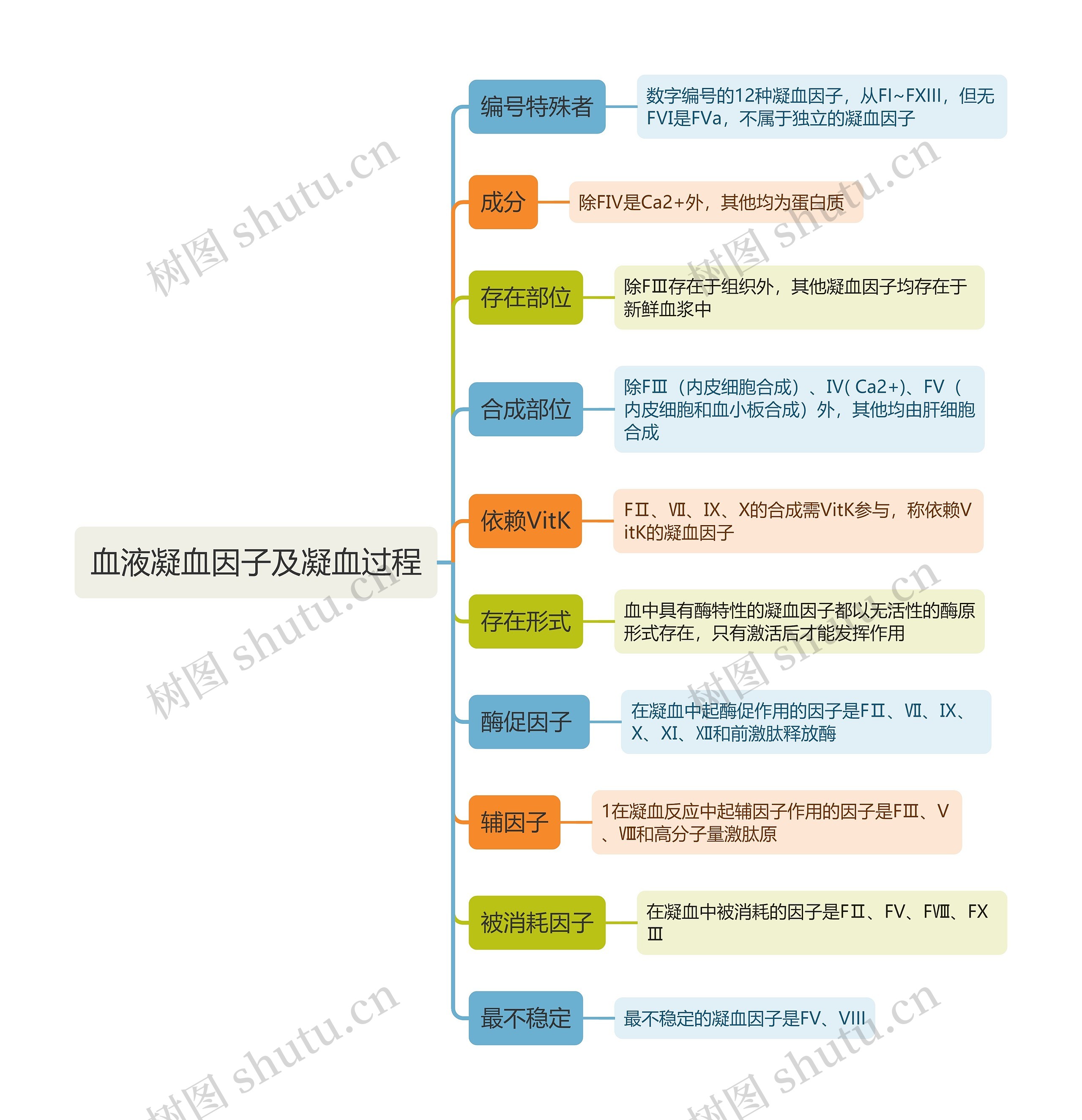 血液凝血因子及凝血过程思维导图