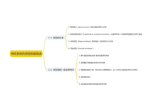 神经系统的感觉机能概述思维导图