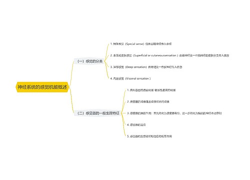 神经系统的感觉机能概述思维导图思维导图