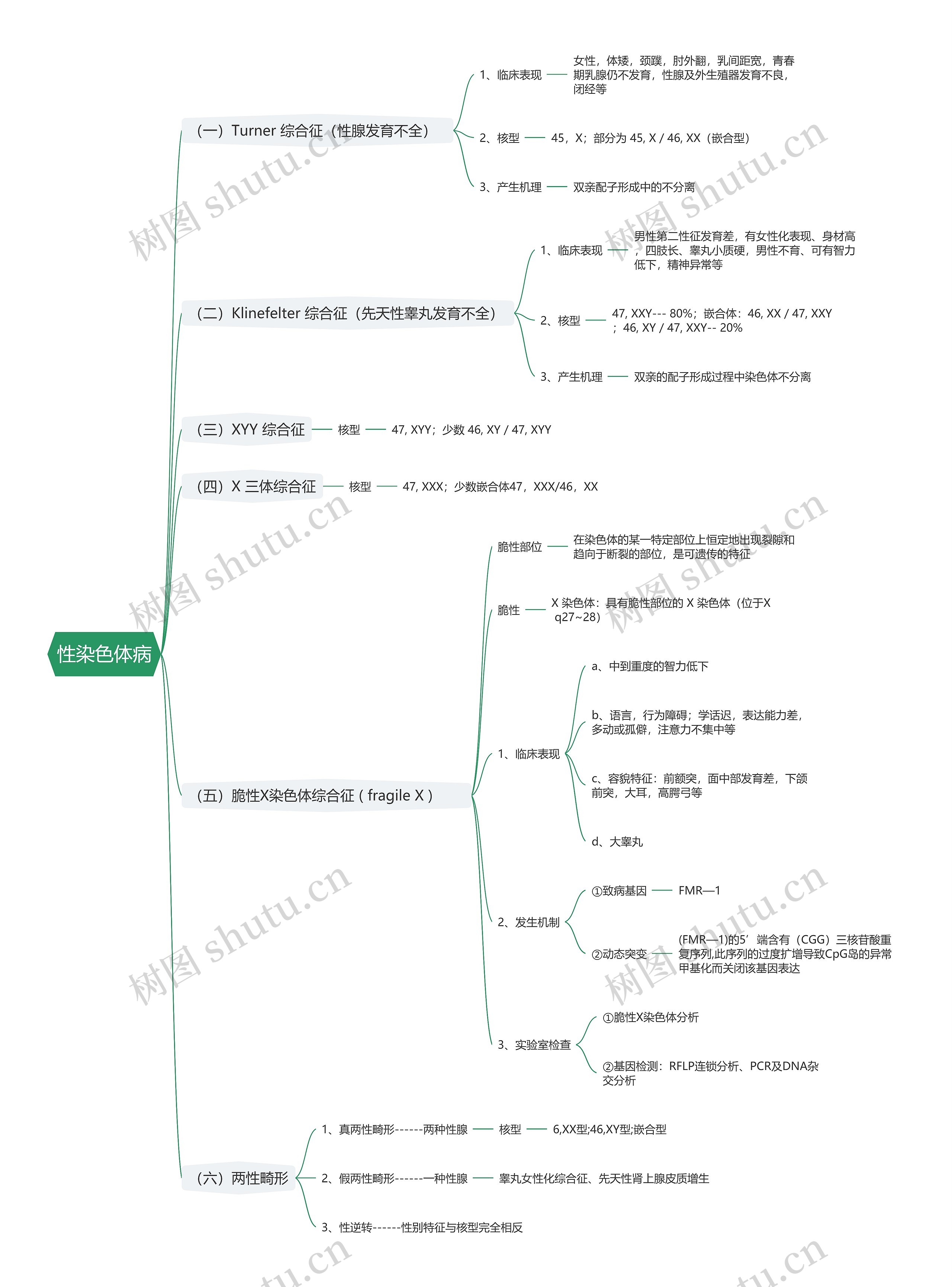 性染色体病思维导图