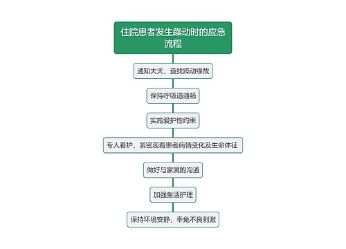 住院患者发生躁动时的应急流程