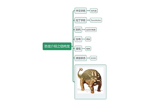 恐龙介绍之窃肉龙思维导图