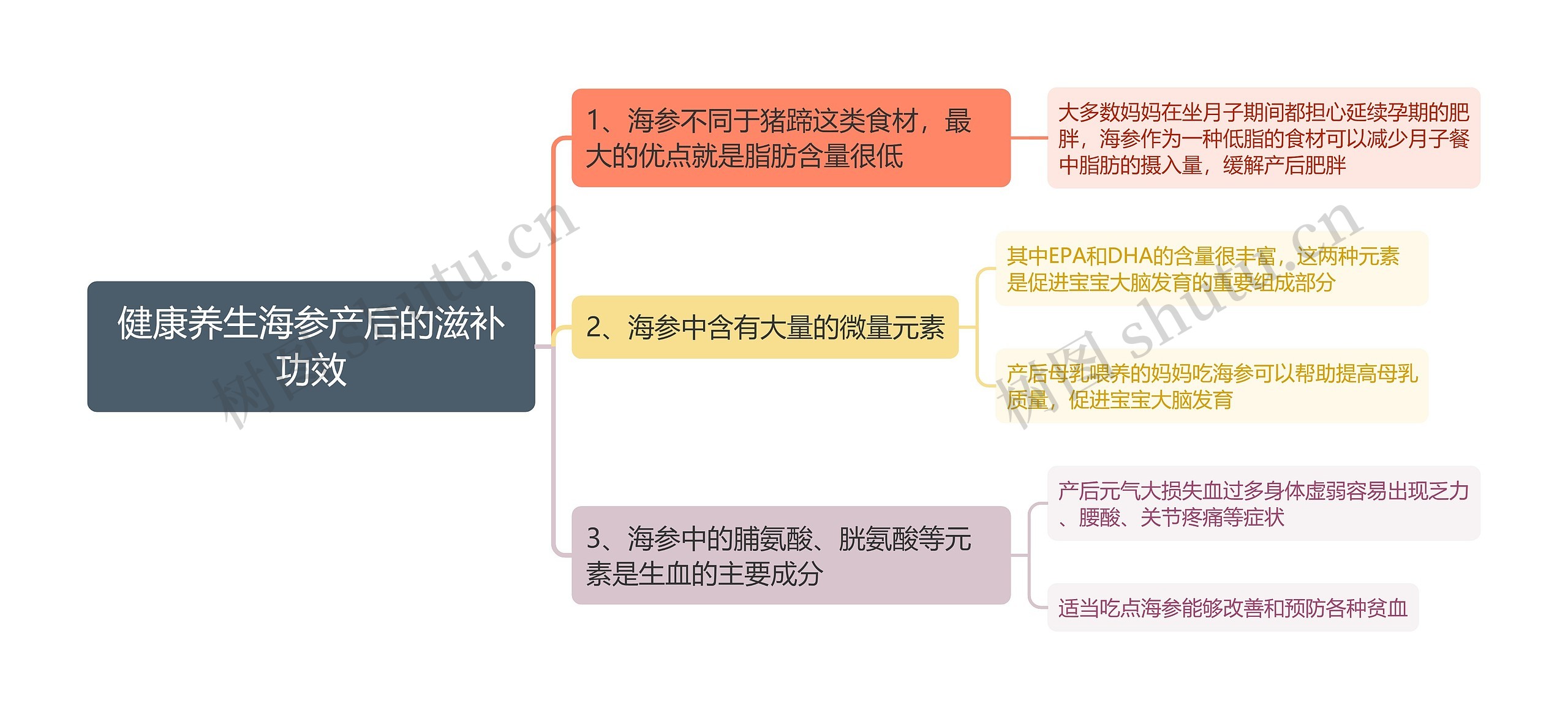 健康养生海参产后的滋补功效思维导图