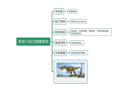 恐龙介绍之维恩猎龙思维导图