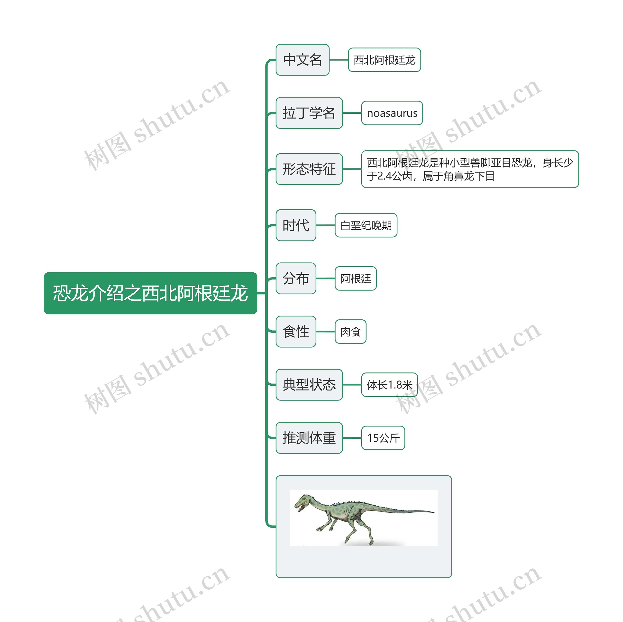 恐龙介绍之西北阿根廷龙思维导图