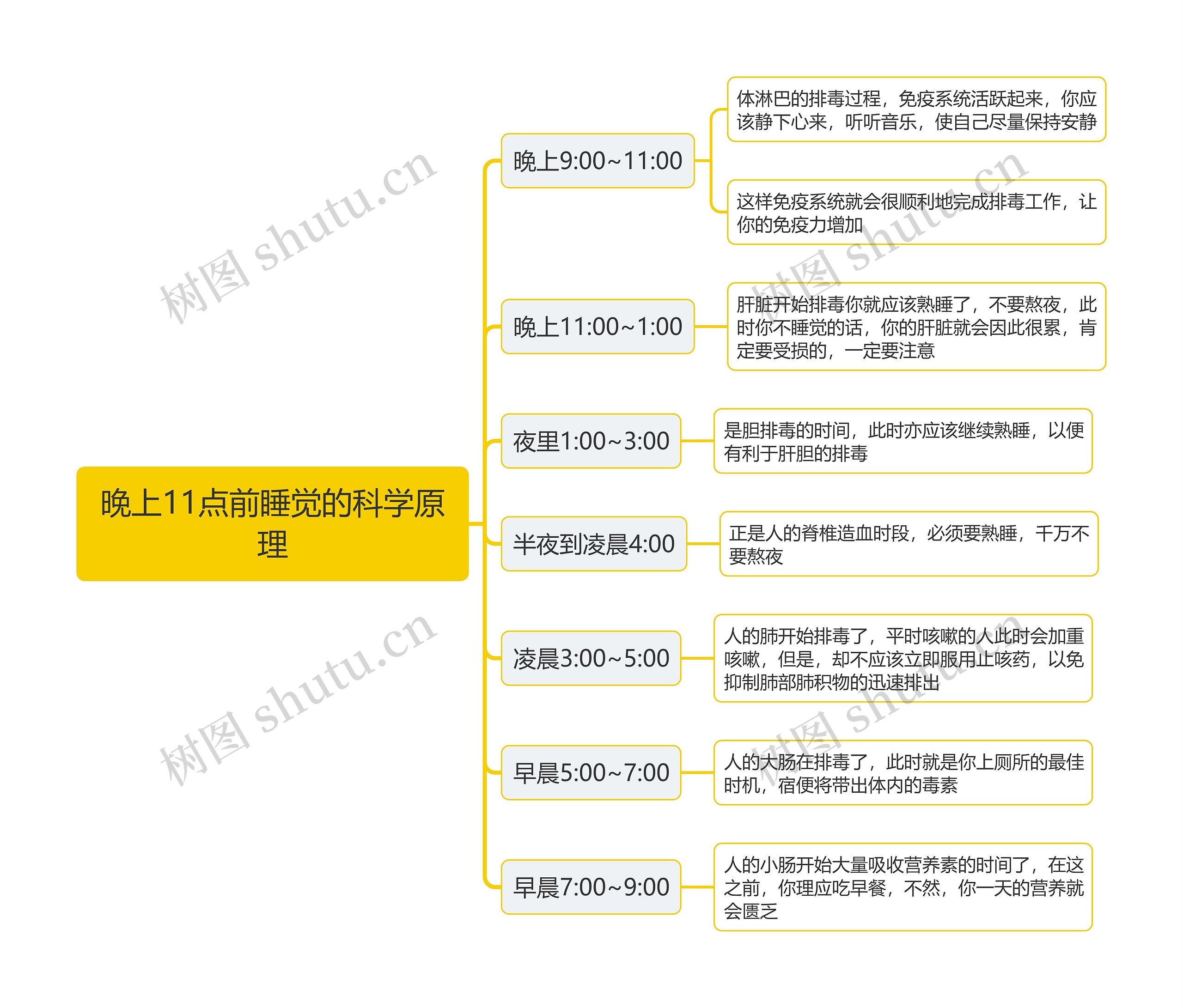 晚上11点前睡觉的科学原理思维导图