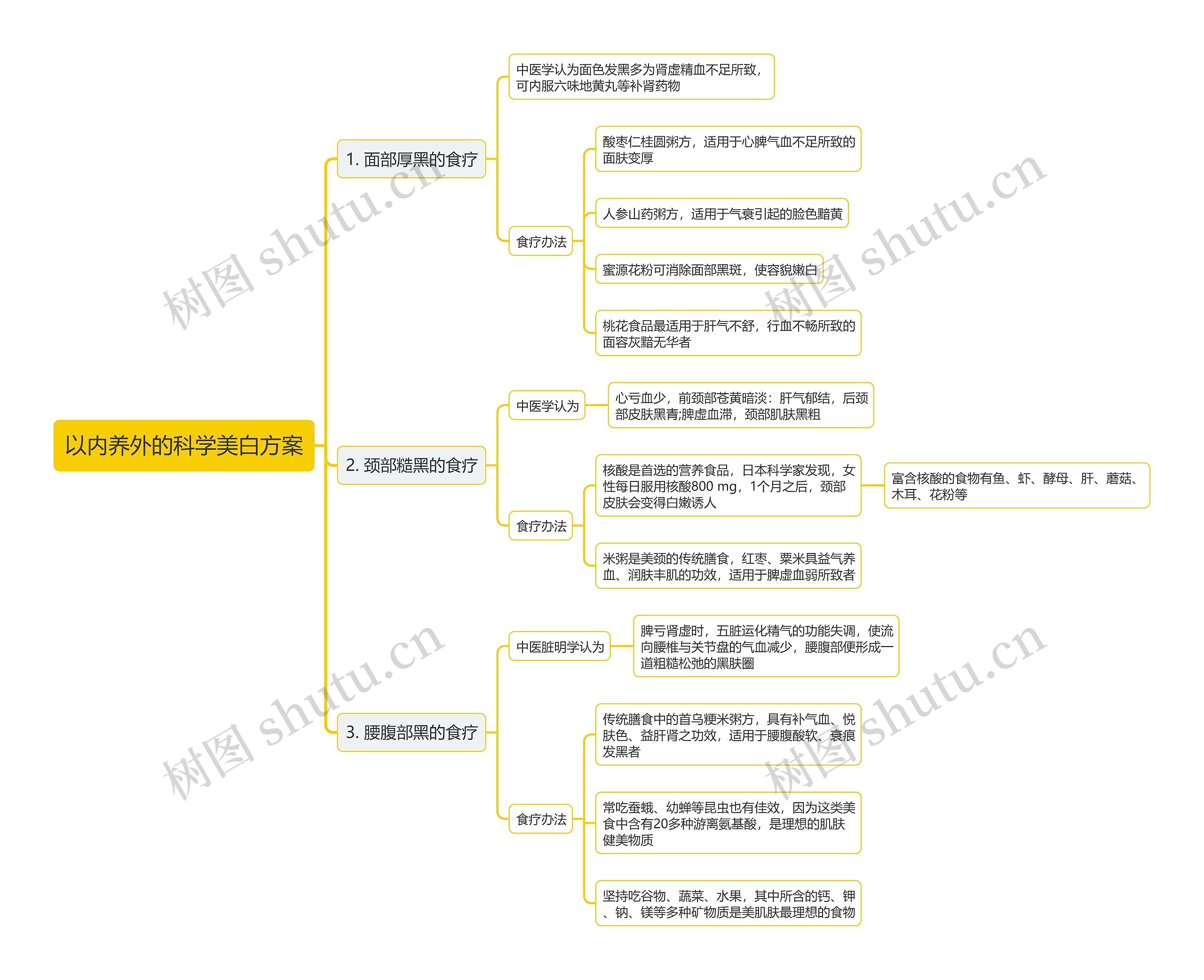 以内养外的科学美白方案思维导图