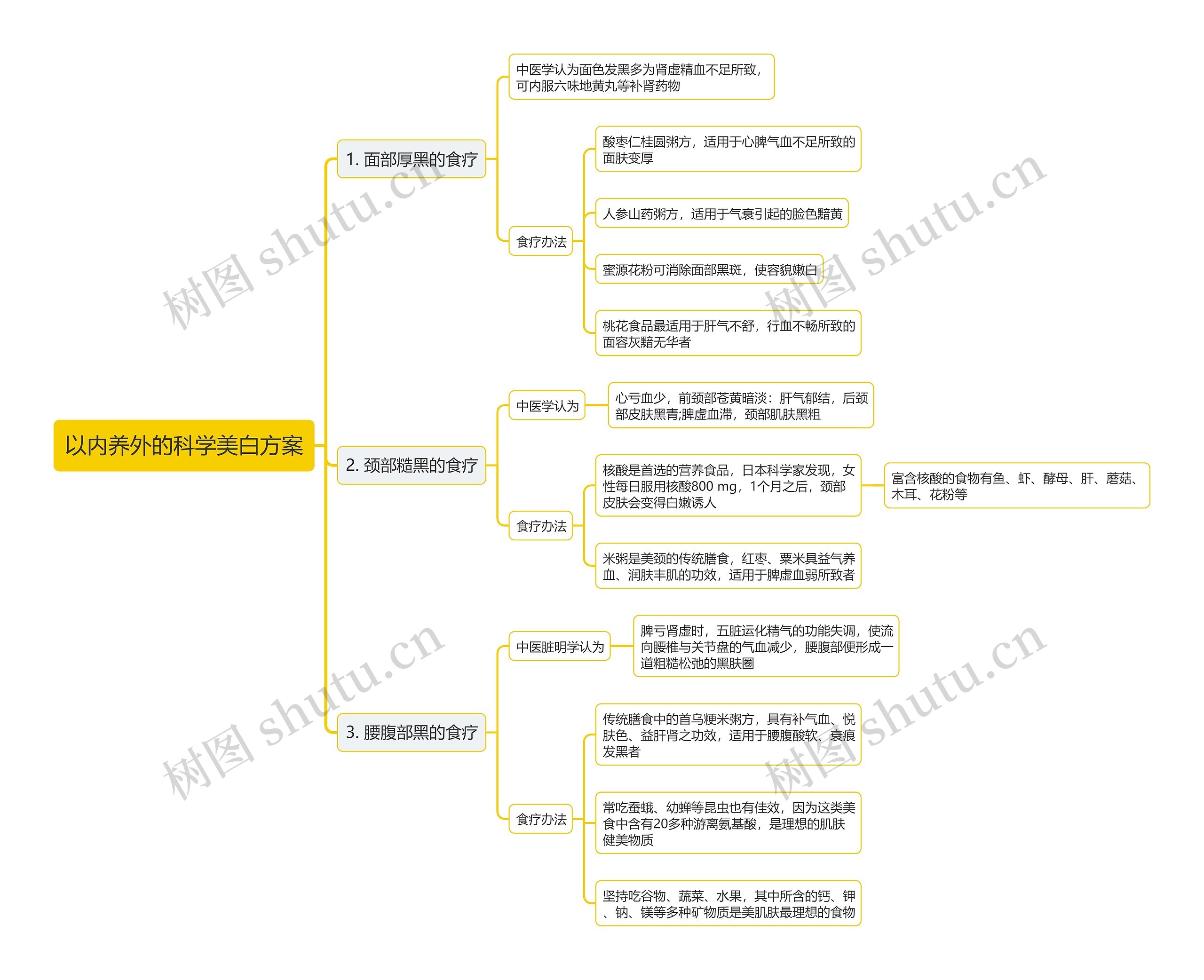 以内养外的科学美白方案思维导图 以内养外的科学美白方案思维导图