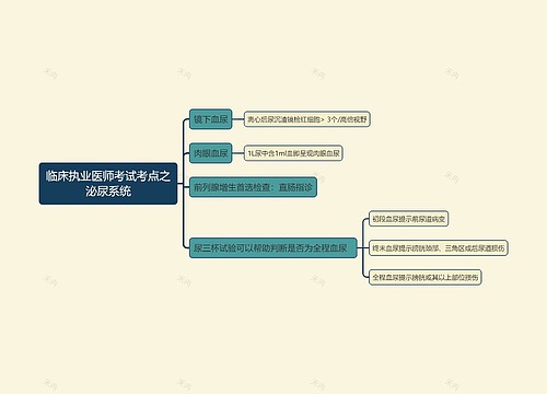 临床执业医师考试考点之泌尿系统