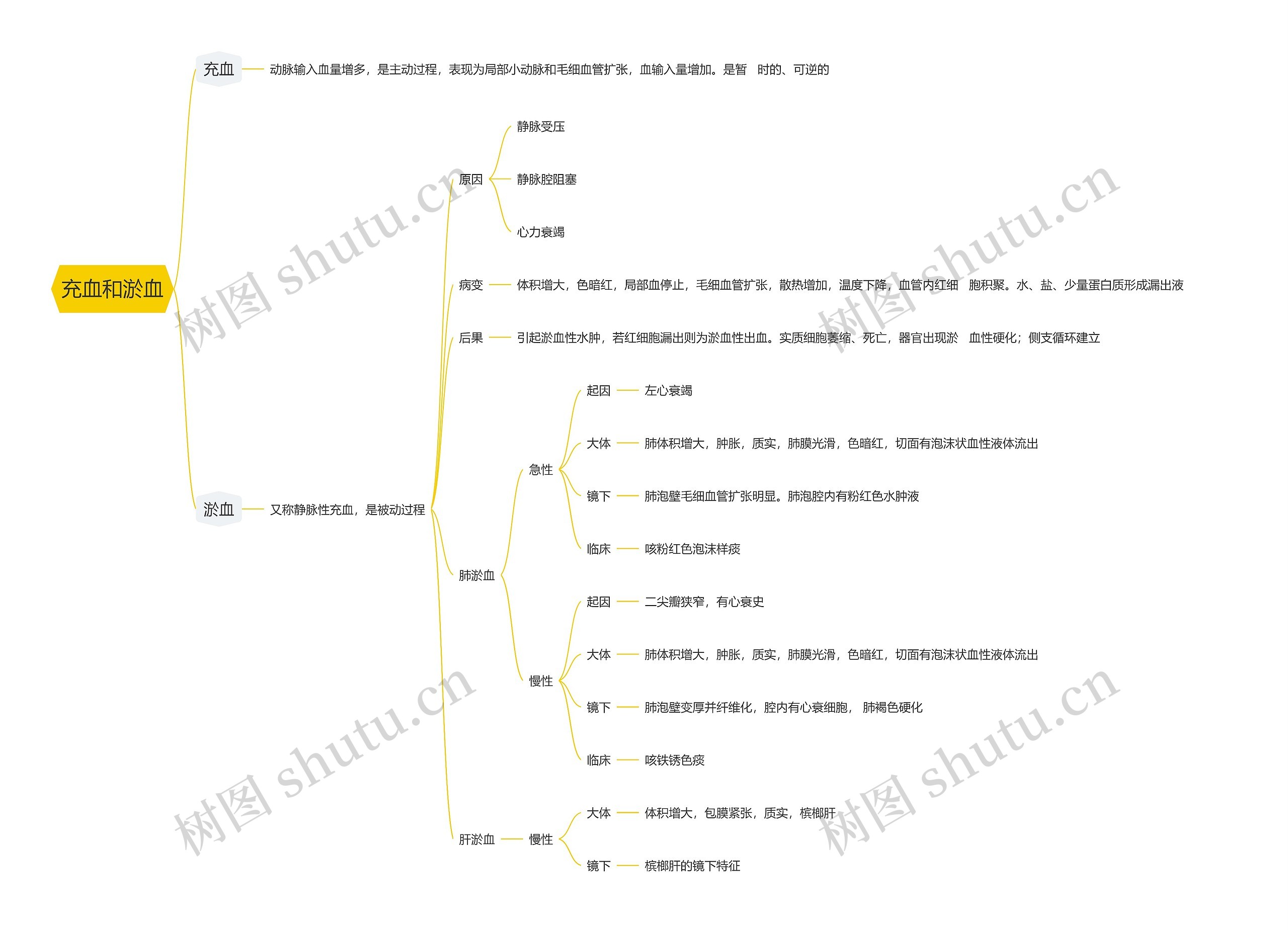 充血和淤血思维导图