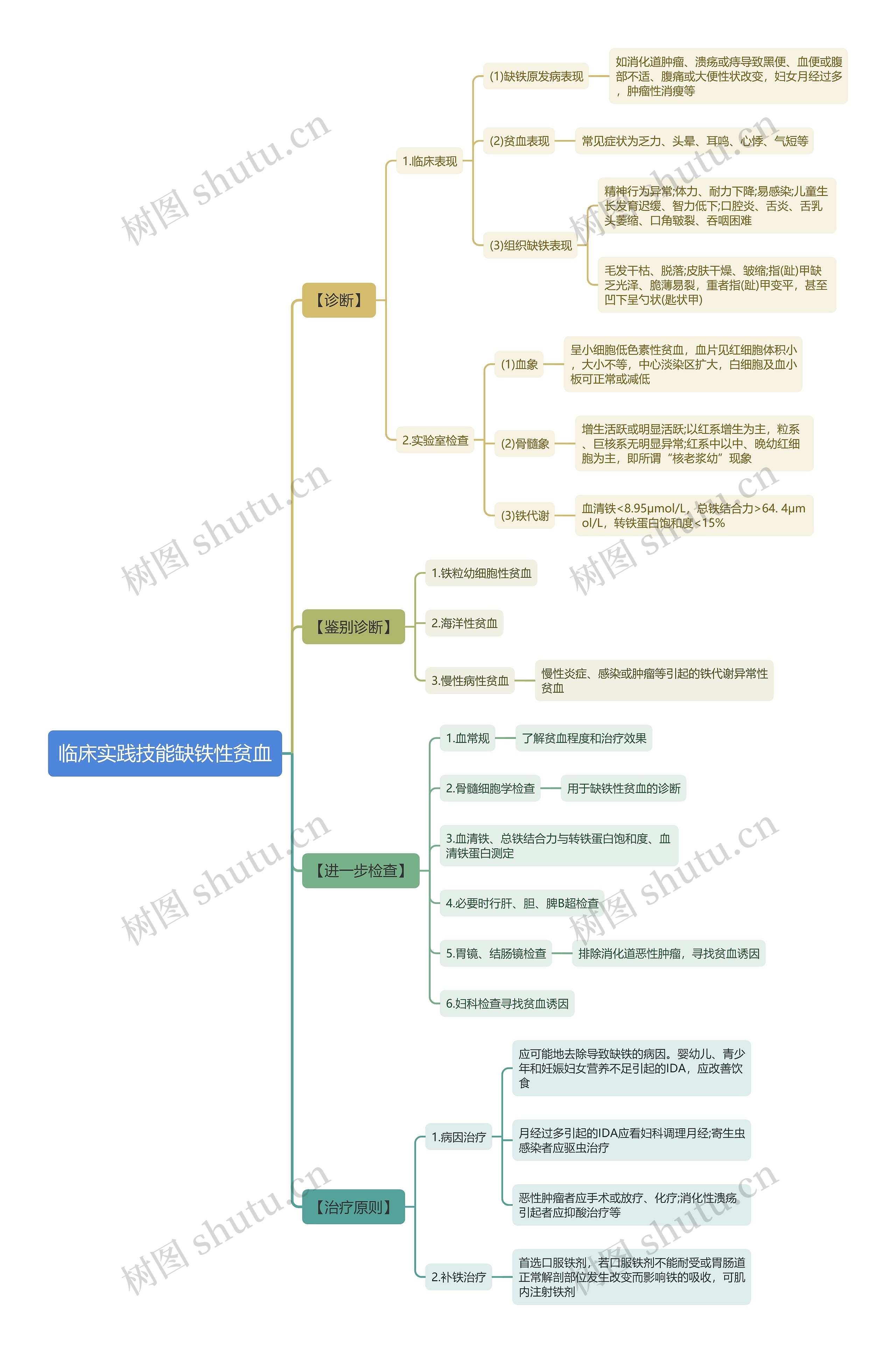 临床实践技能缺铁性贫血思维导图