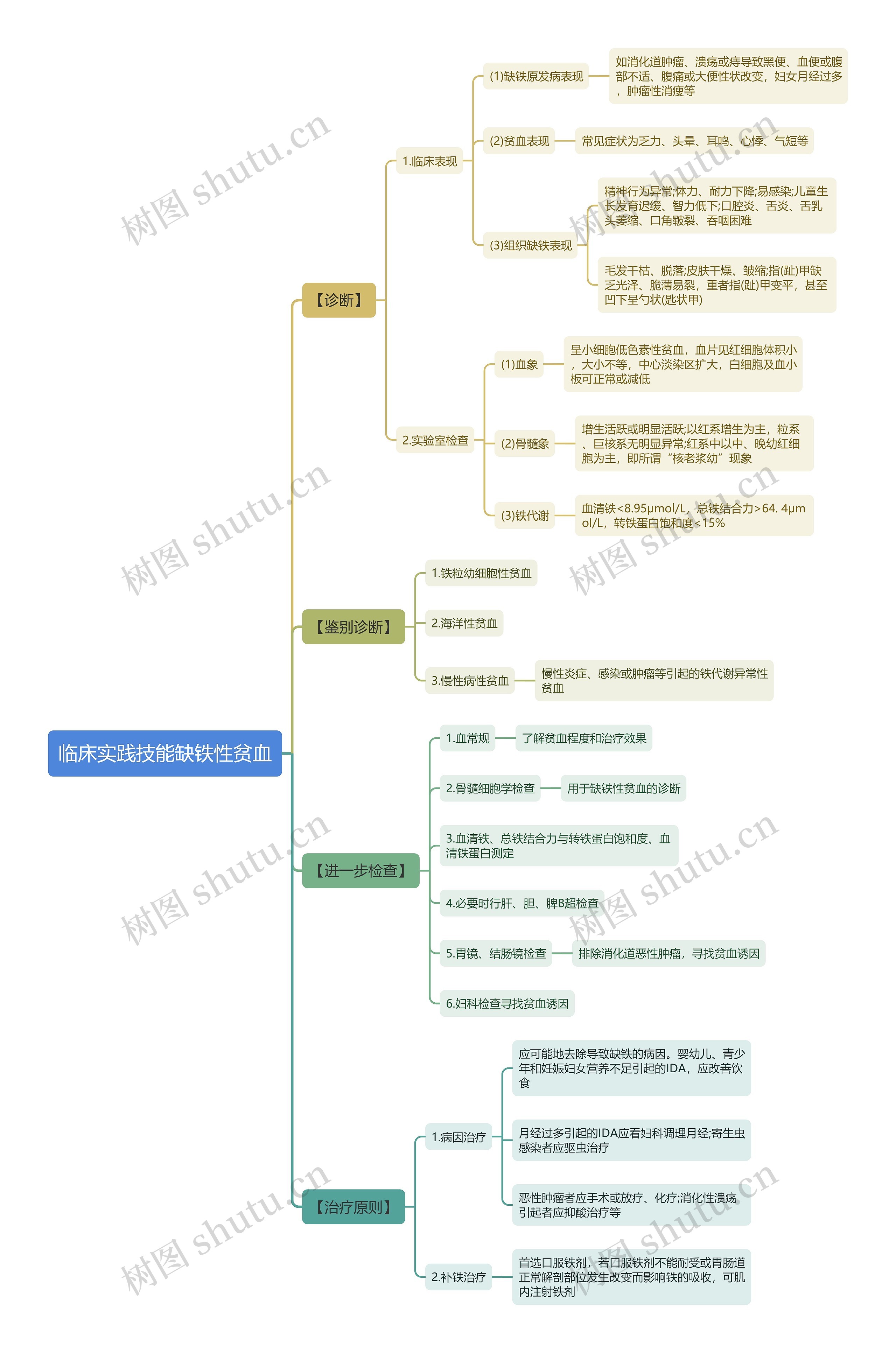 临床实践技能缺铁性贫血思维导图 临床实践技能缺铁性贫血思维导图