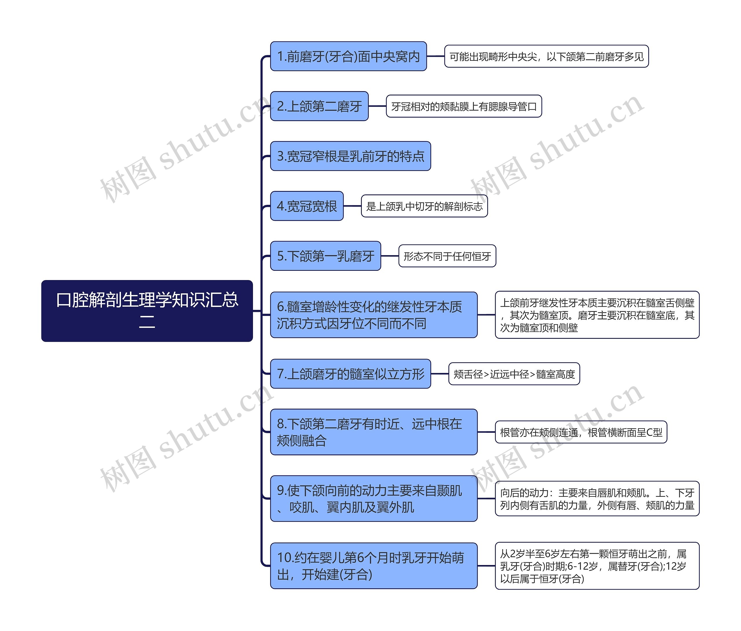 口腔解剖生理学知识汇总二思维导图