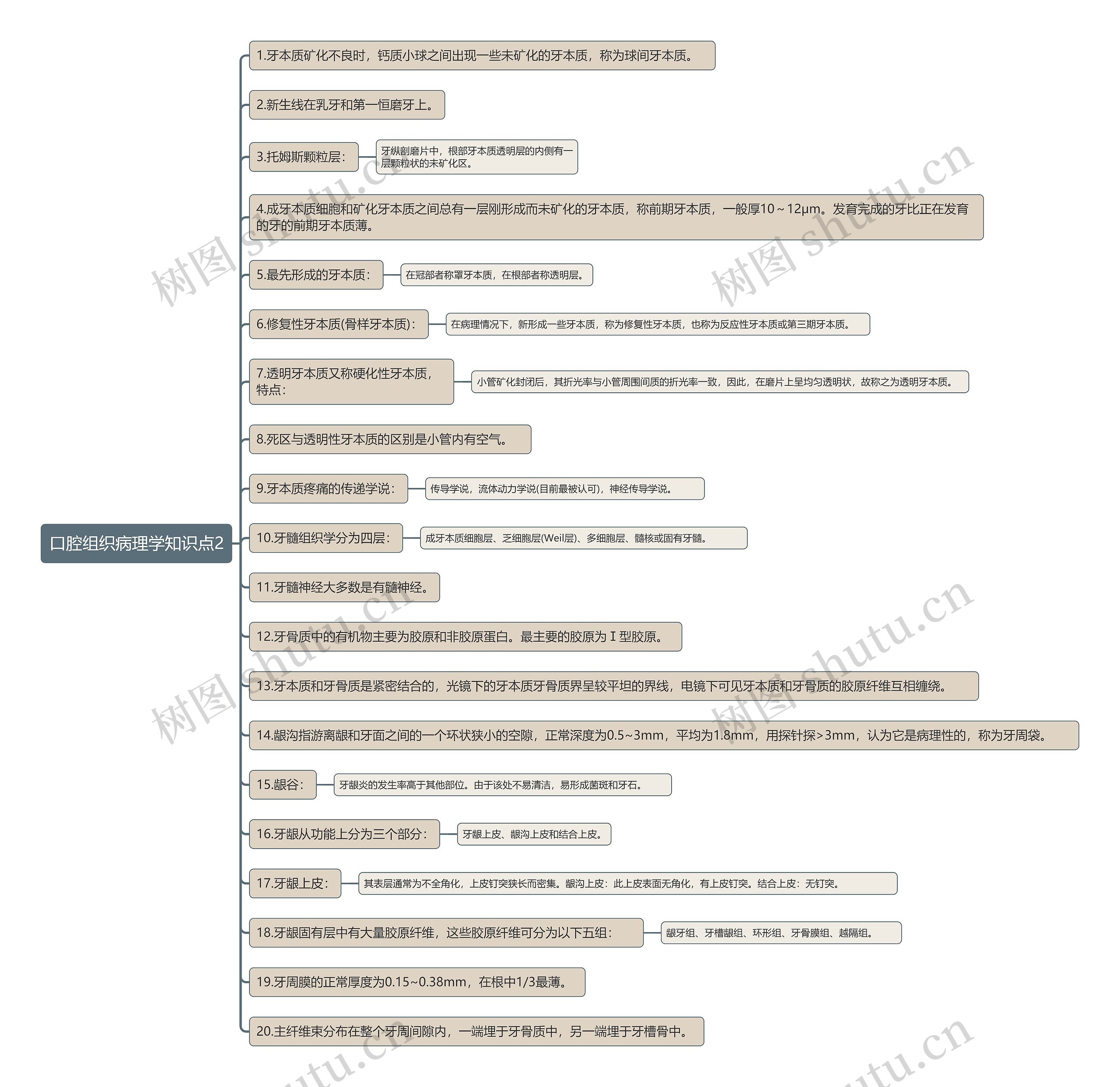 口腔组织病理学知识点2