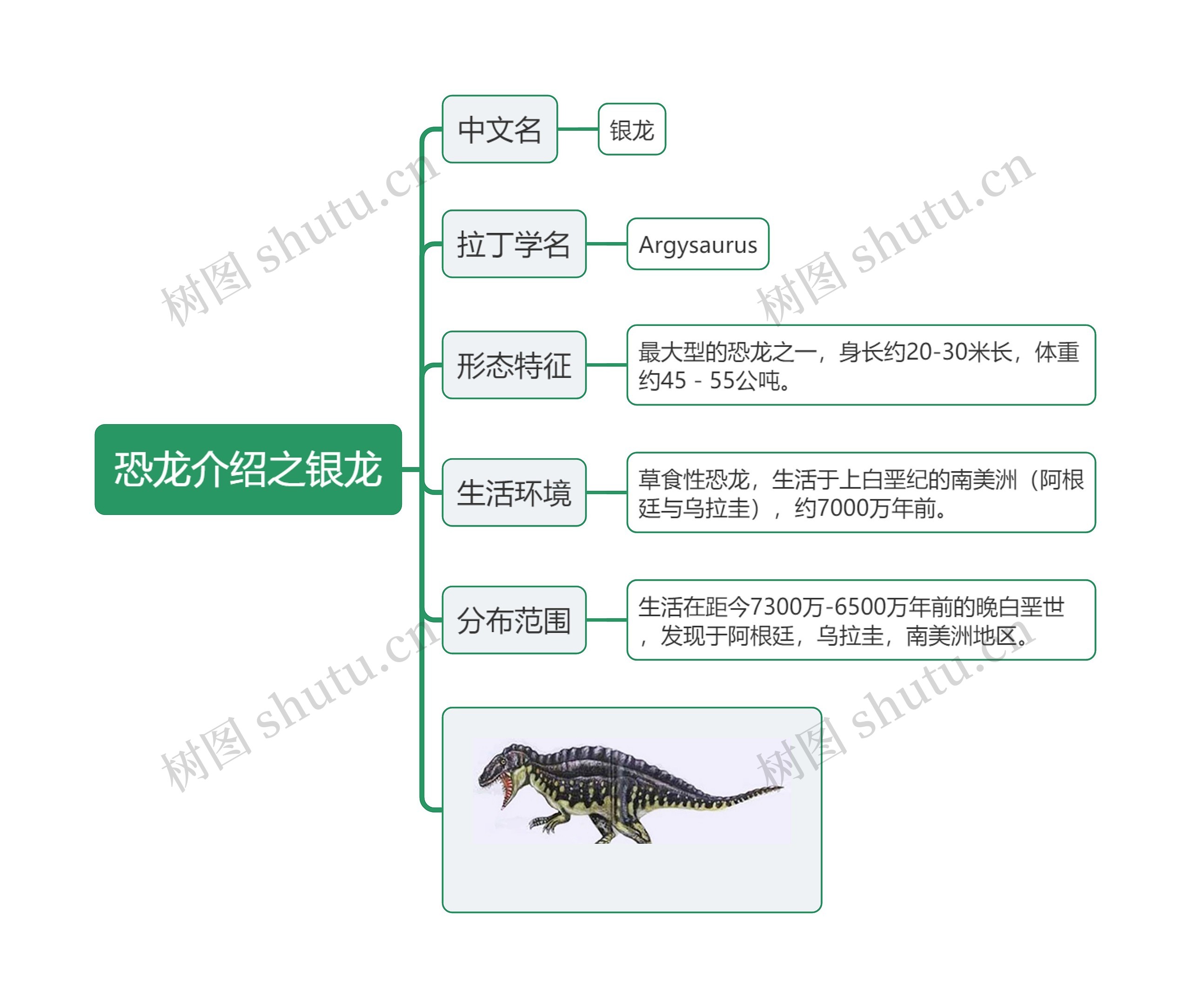 恐龙介绍之银龙思维导图