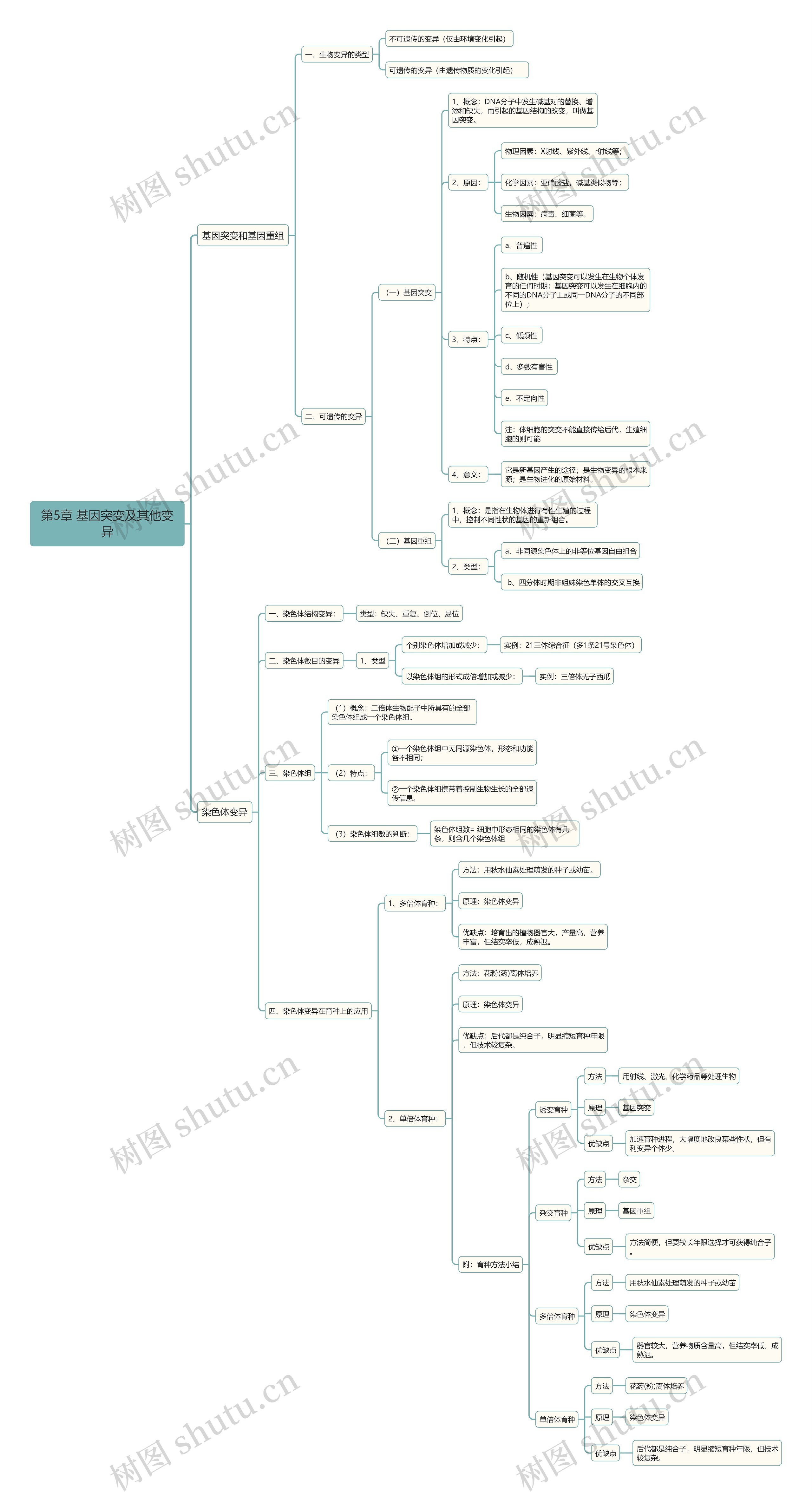 生物必修二基因突变及其他变异思维导图