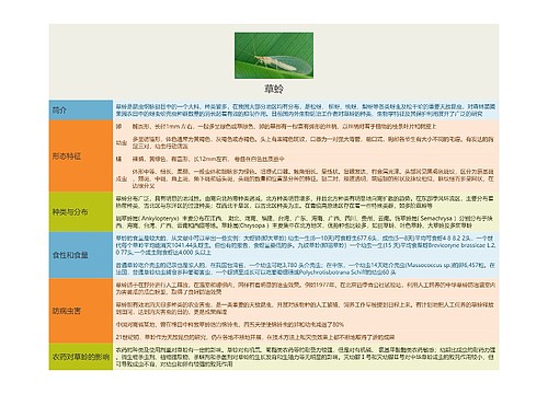 草蛉思维导图