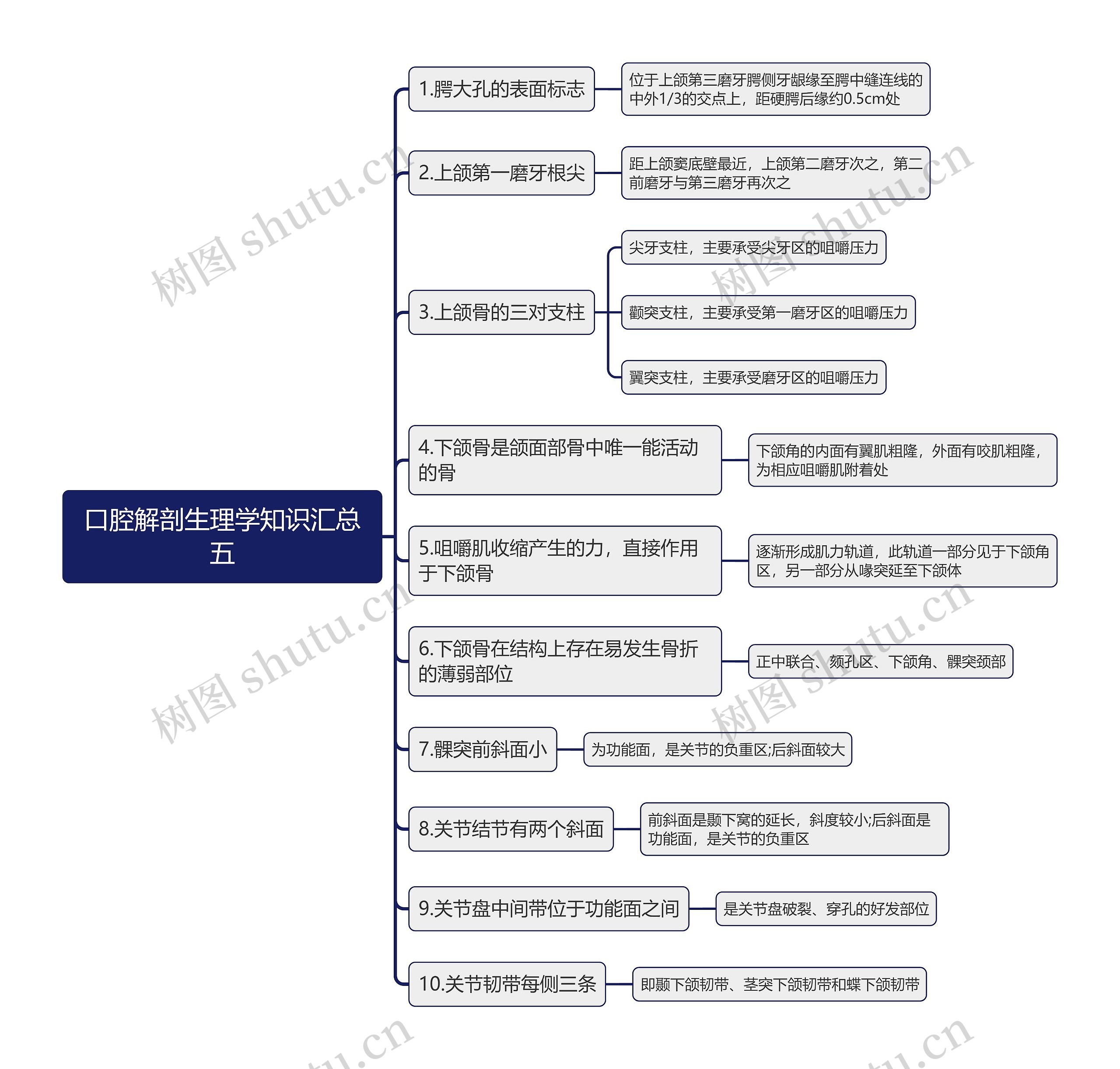 口腔解剖生理学知识汇总五