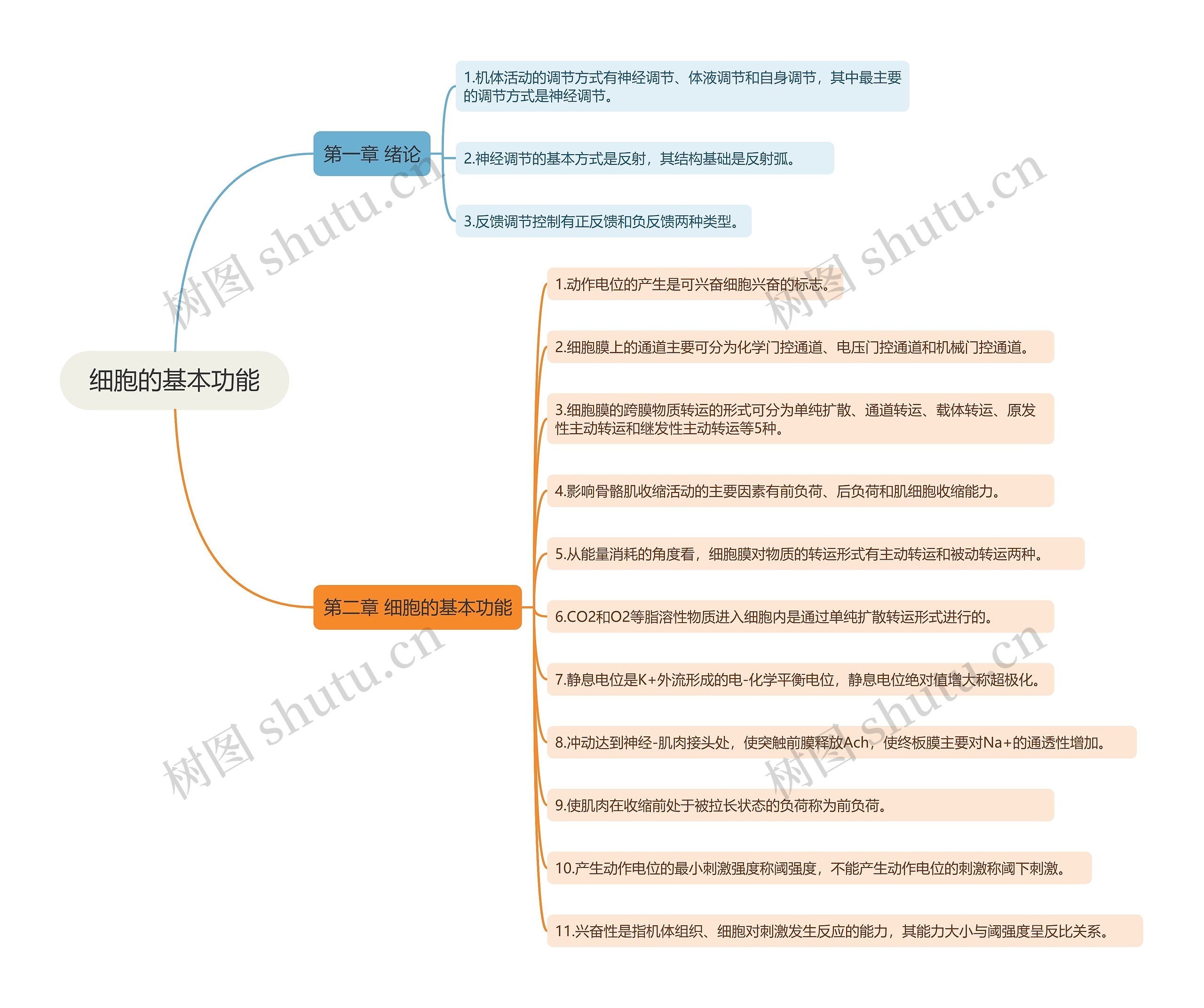 细胞的基本功能知识点