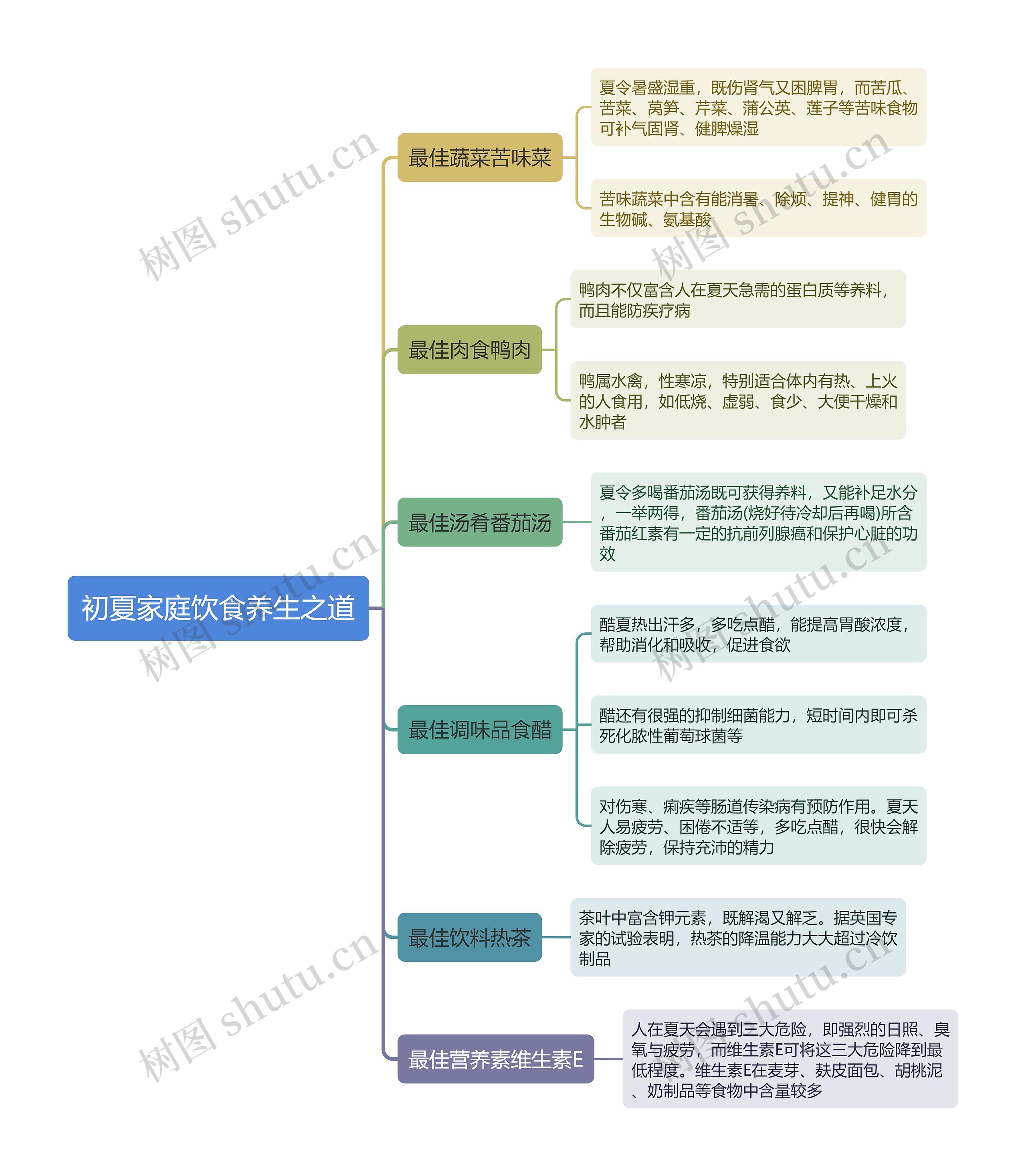 初夏家庭饮食养生之道思维导图