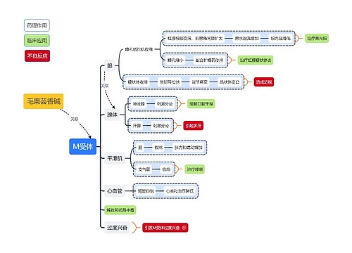 毛国芸香碱思维导图