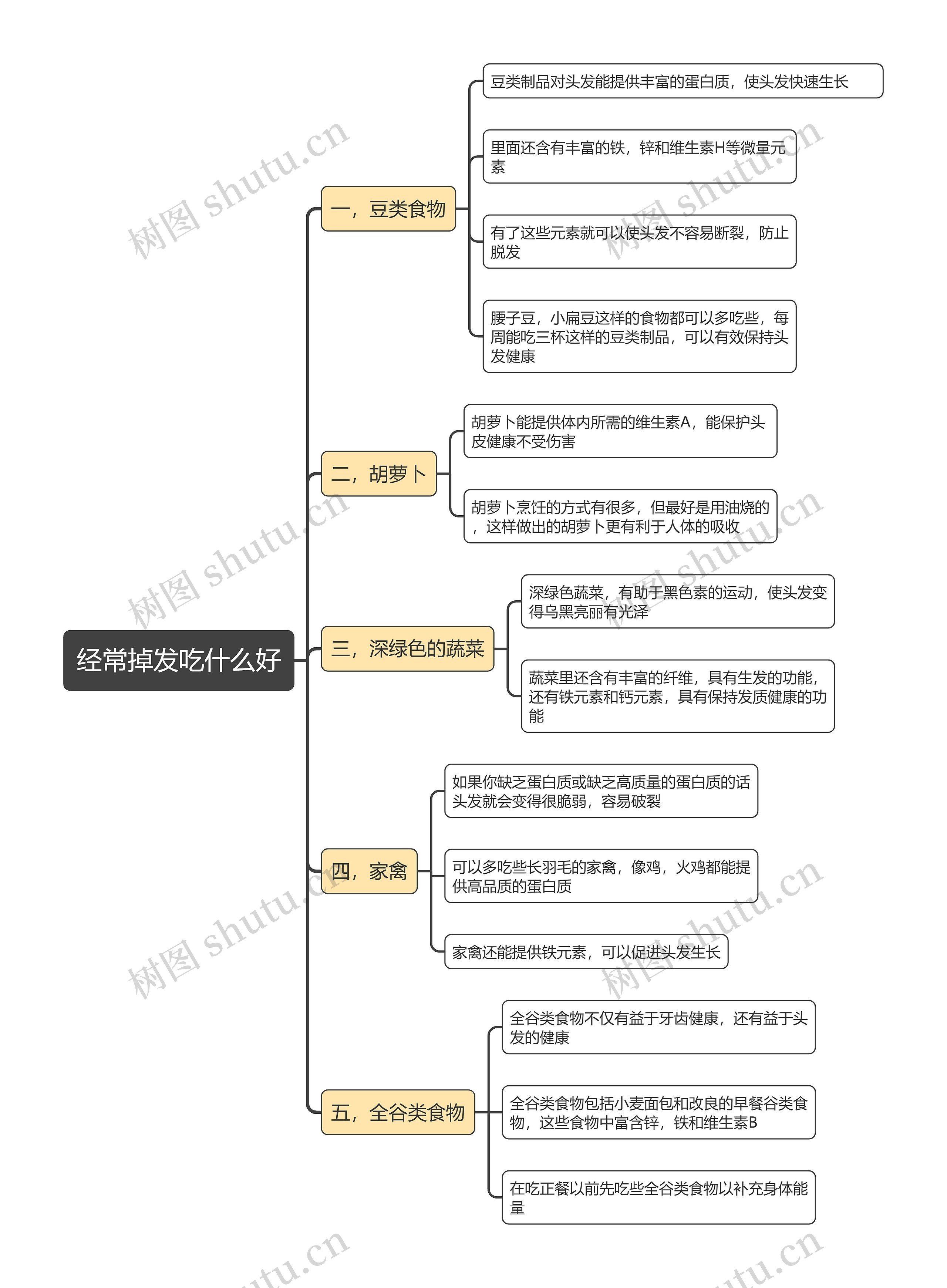 经常掉发吃什么好思维导图