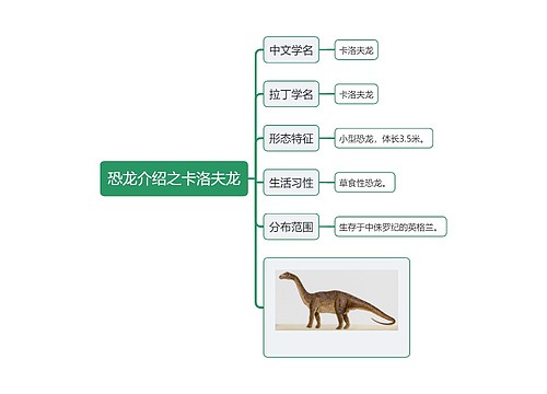 恐龙介绍之卡洛夫龙思维导图