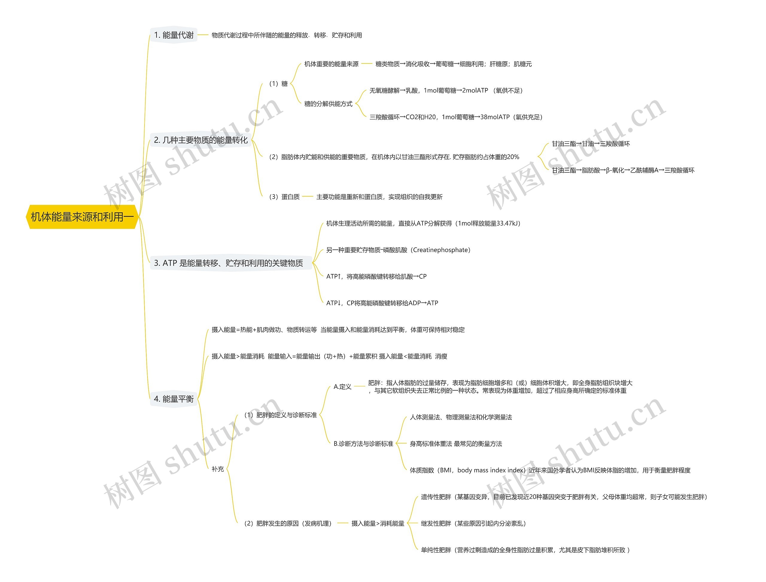 机体能量来源和利用一思维导图
