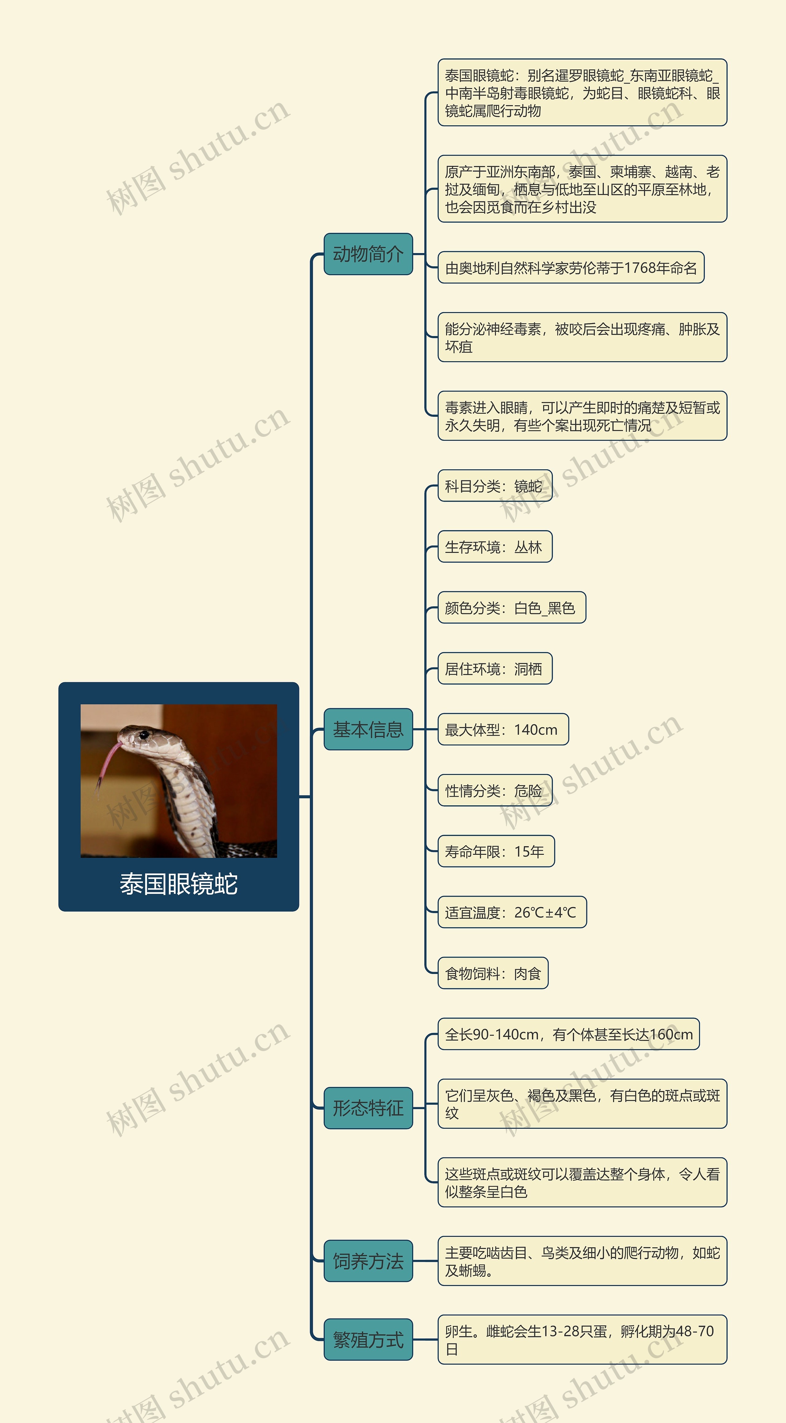 泰国眼镜蛇