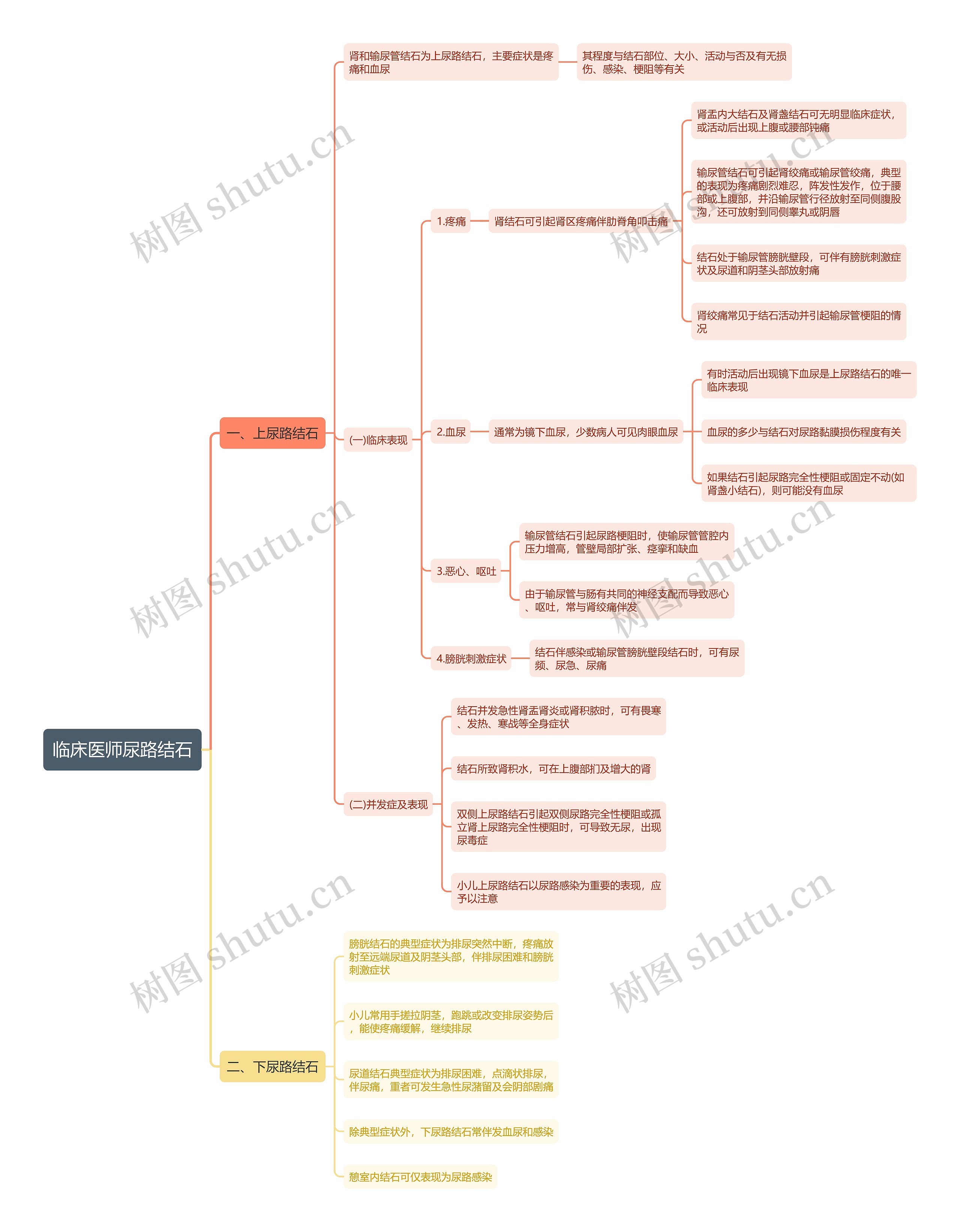 临床医师尿路结石思维导图