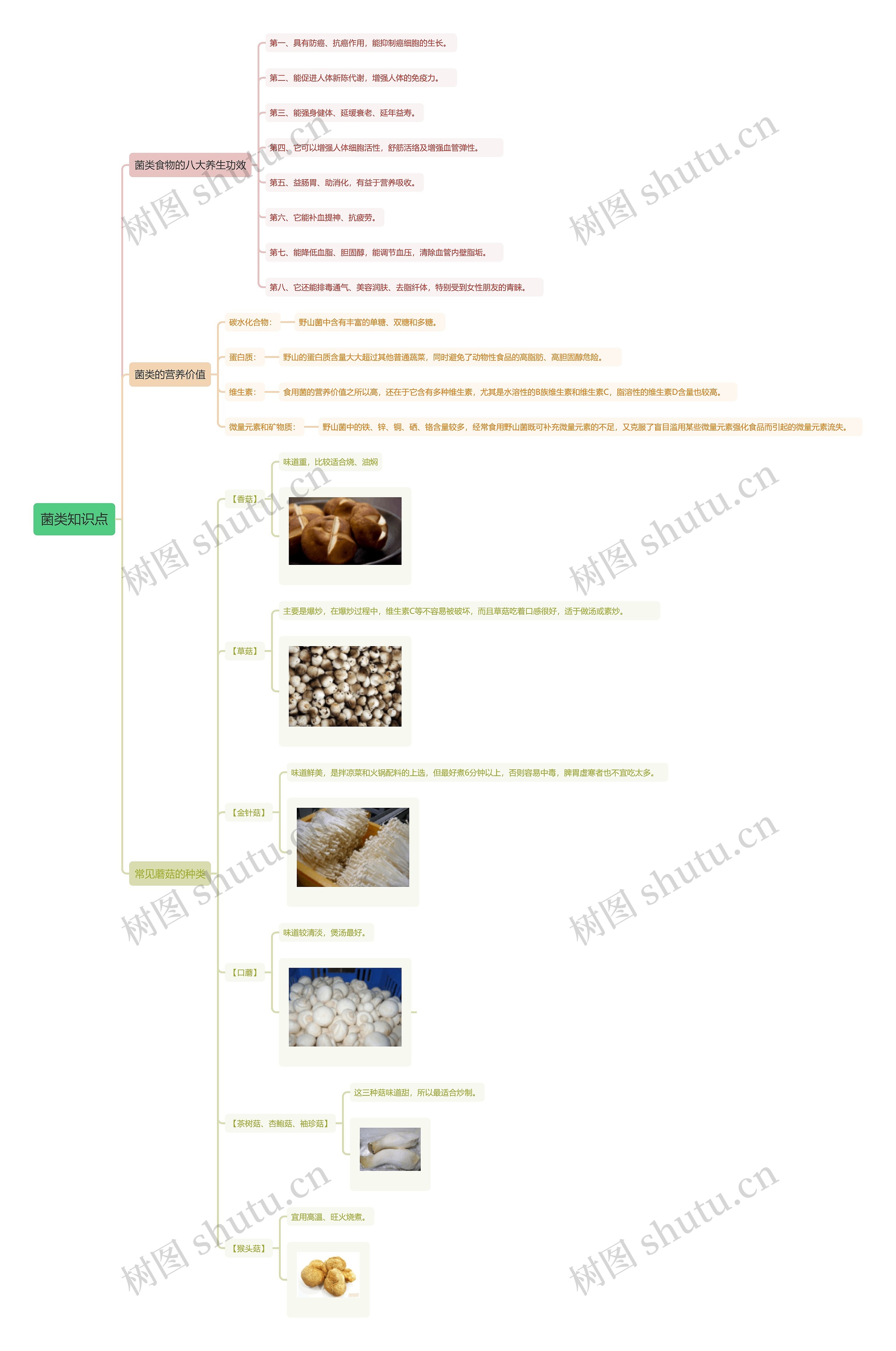 菌类知识点思维导图