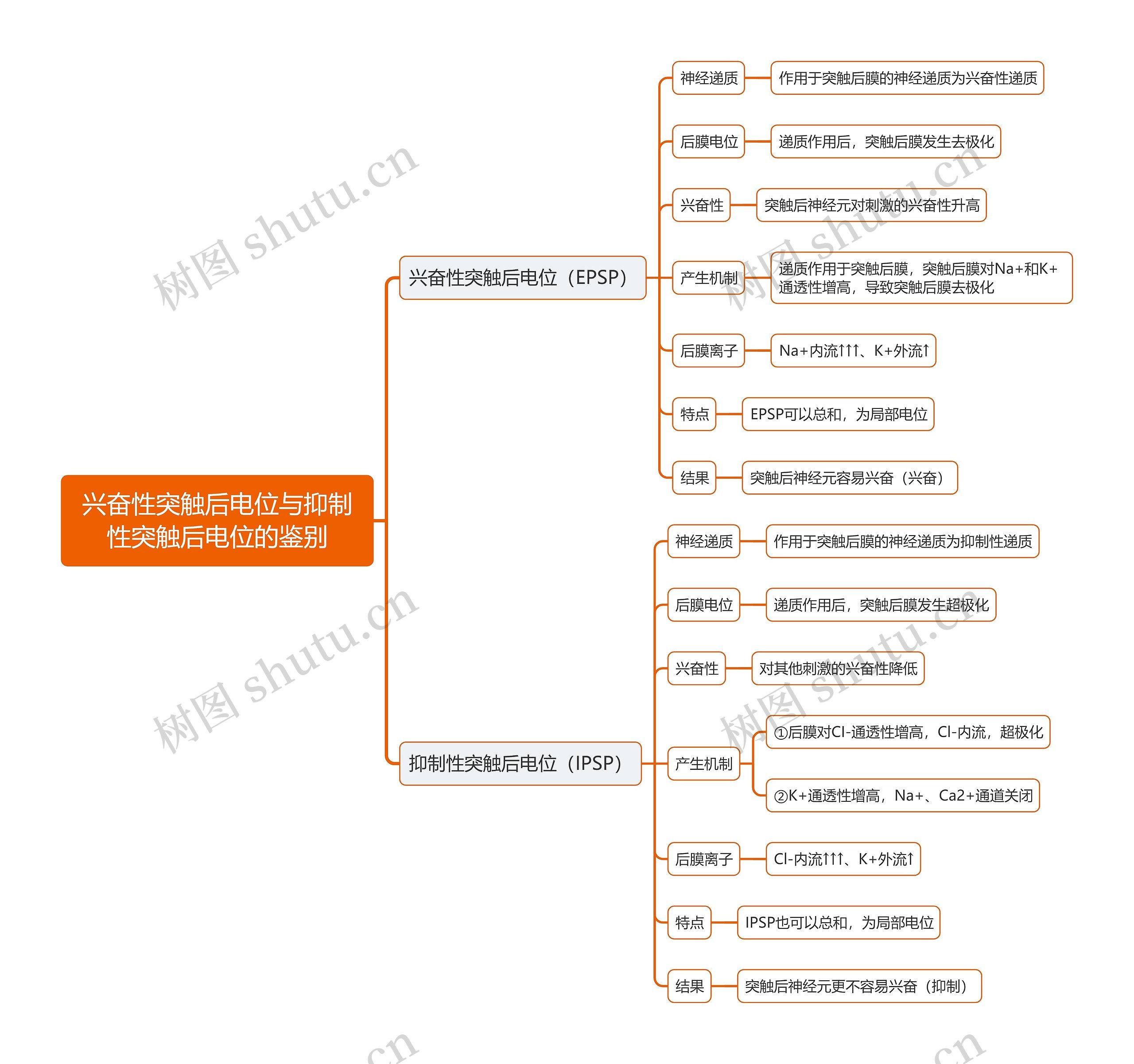 兴奋性突触后电位与抑制性突触后电位的鉴别思维导图