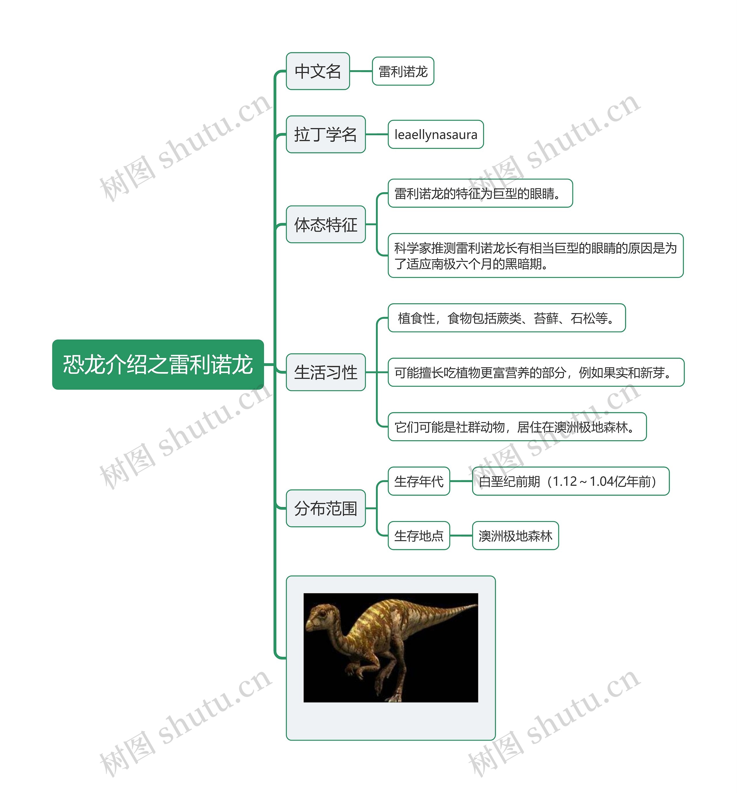 恐龙介绍之雷利诺龙思维导图