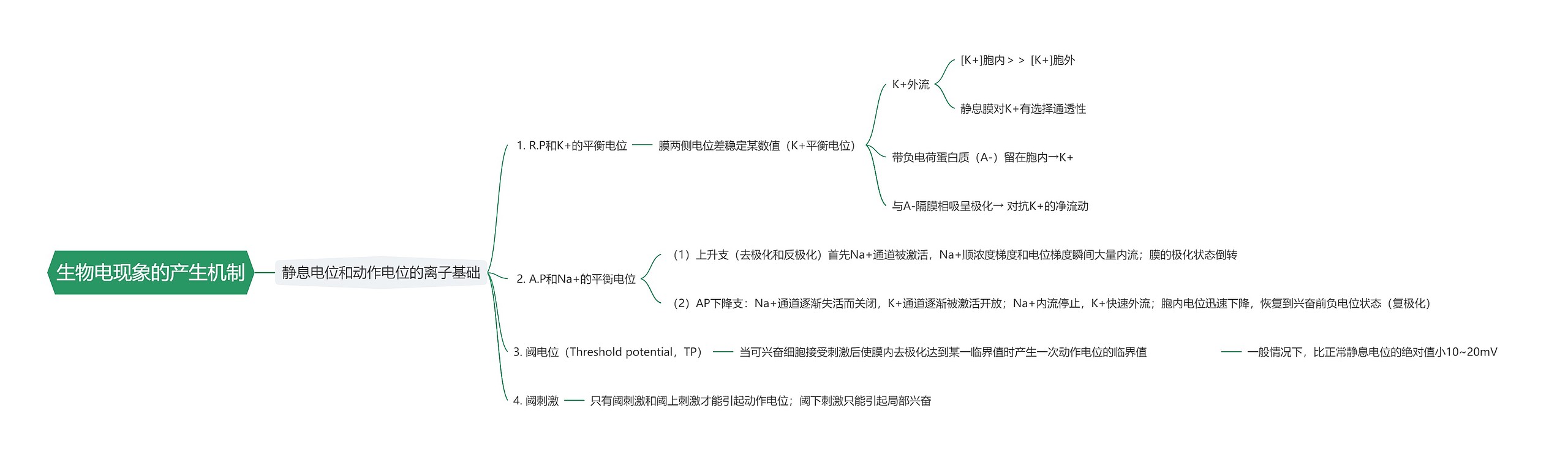 生物电现象的产生机制思维导图