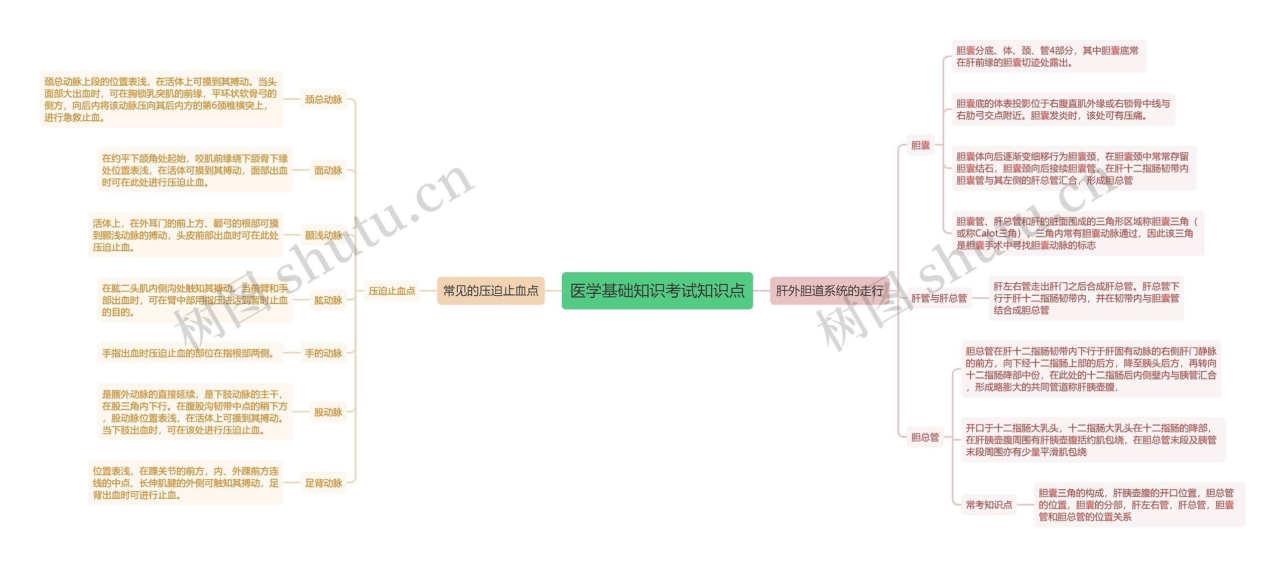 医学基础知识考试知识点思维导图