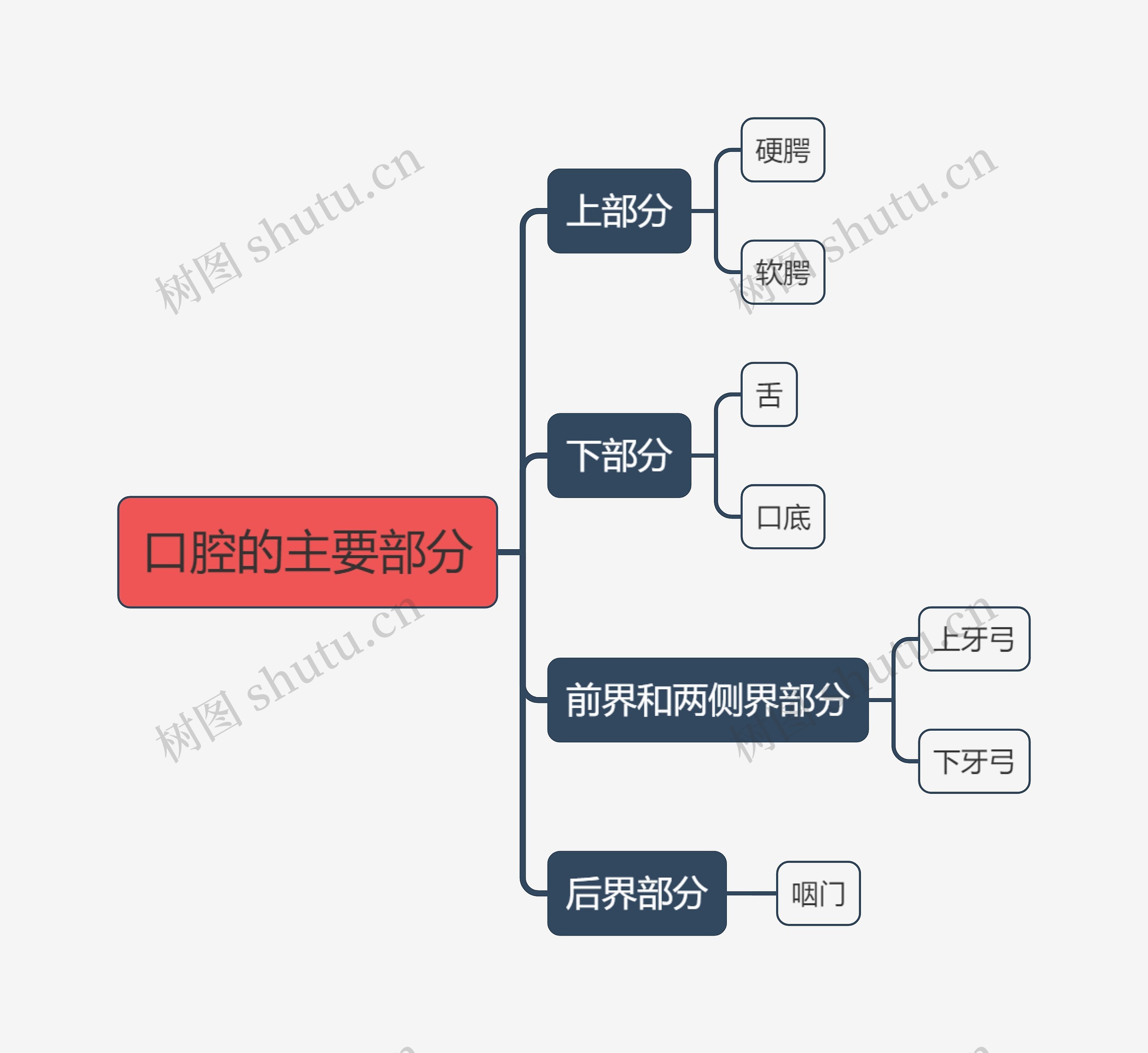 口腔的主要部分思维导图