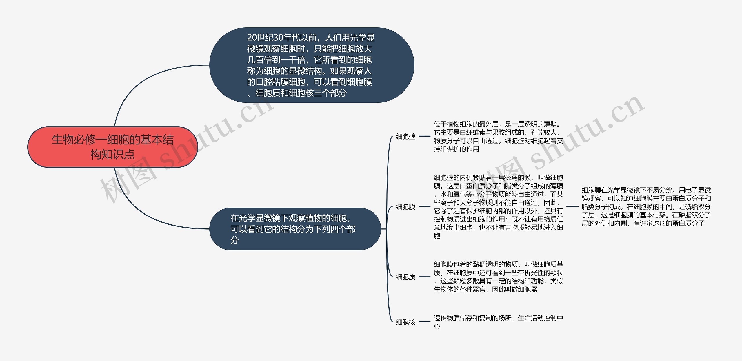 生物必修一细胞的基本结构知识点思维导图