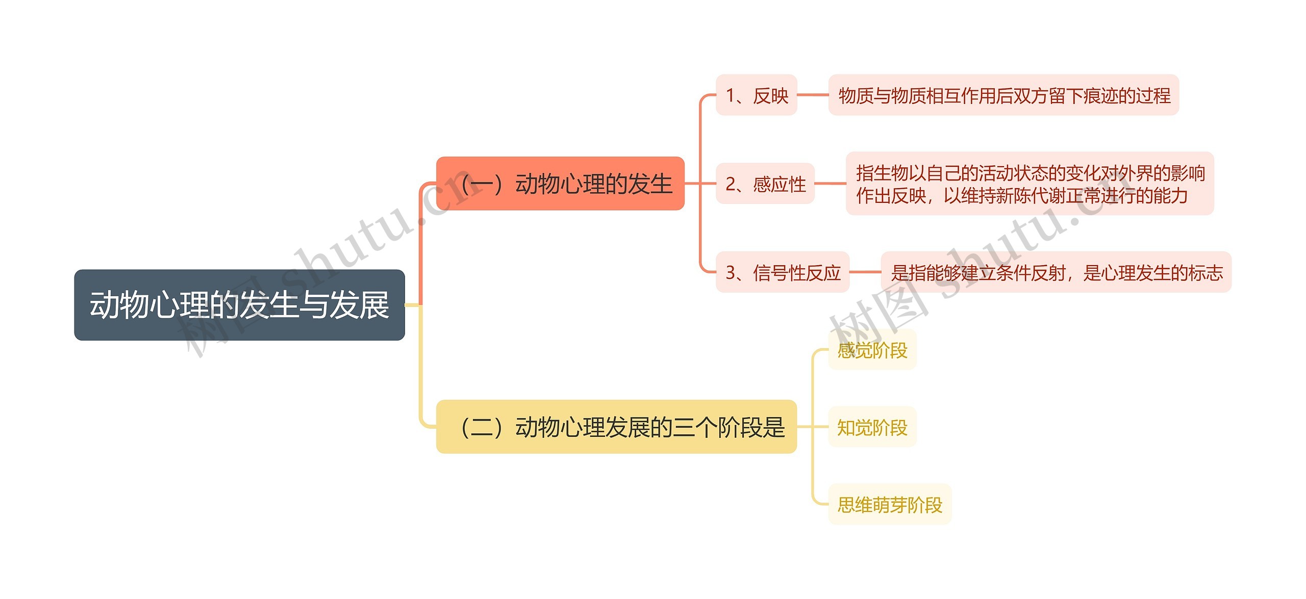 动物心理的发生与发展思维导图