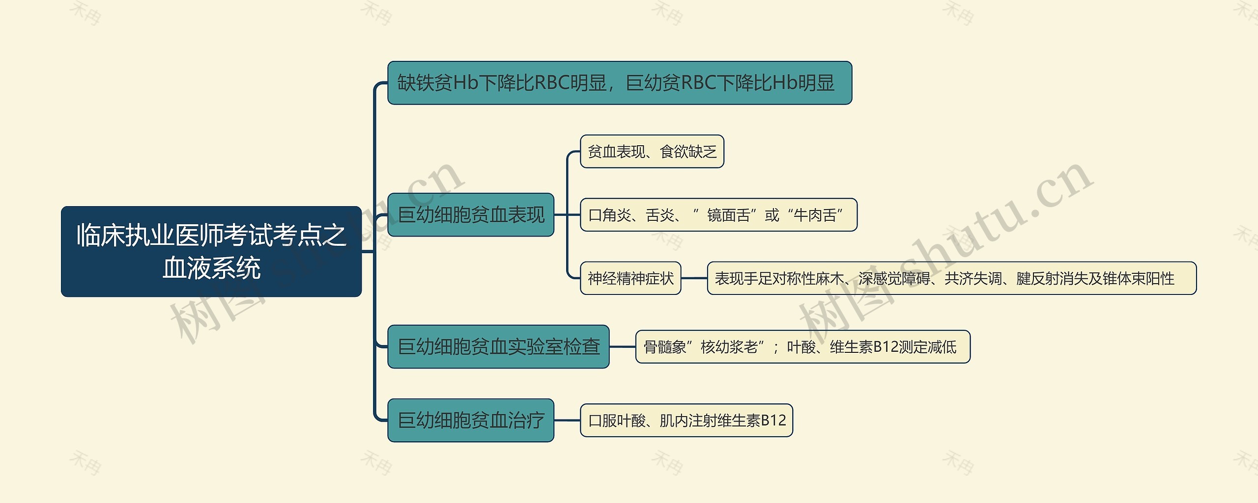 临床执业医师考试考点之血液系统思维导图