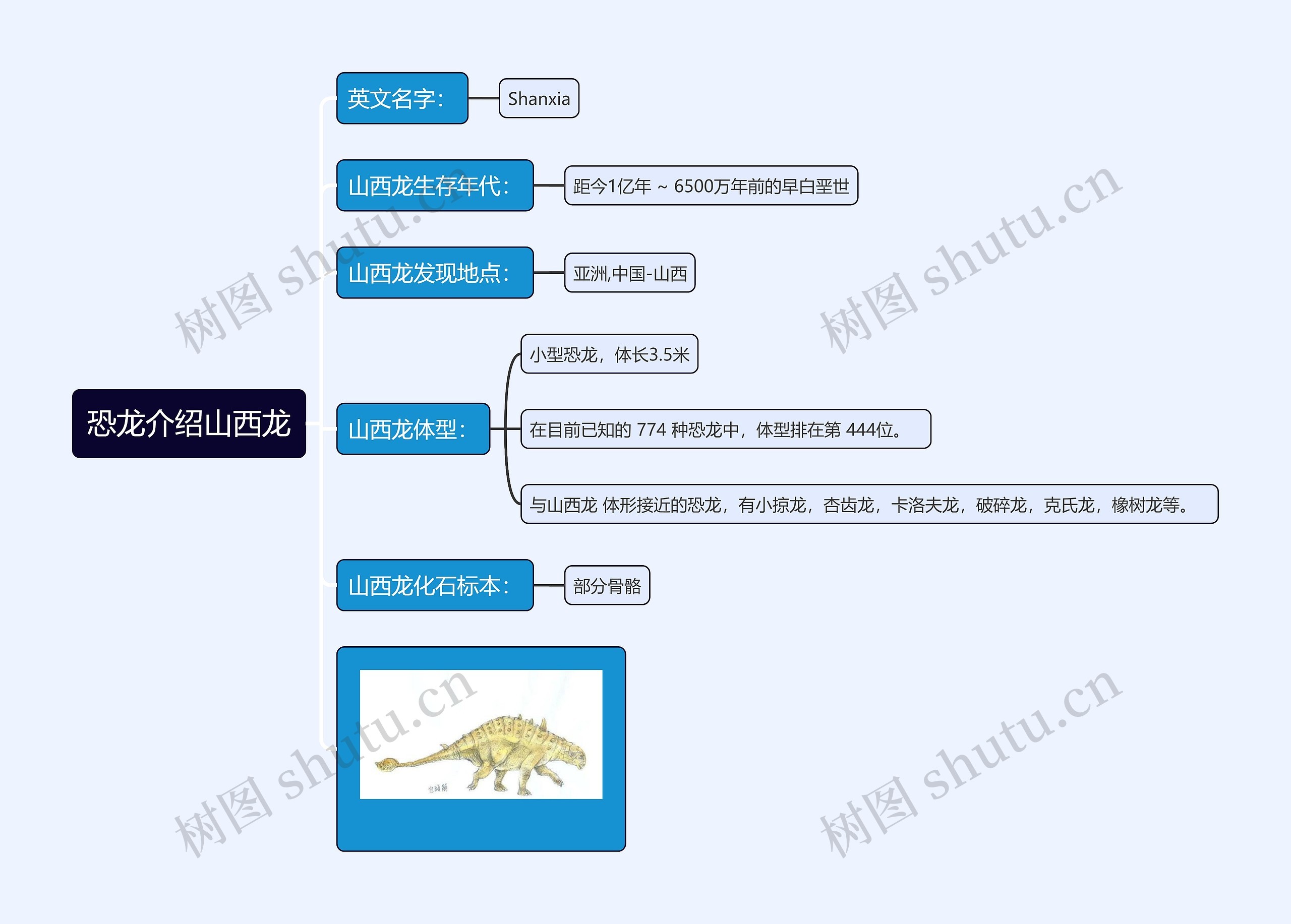 恐龙介绍山西龙思维导图